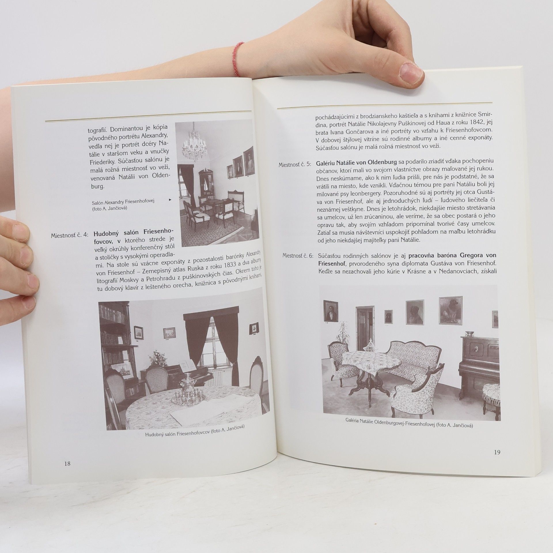 Autorenkollektiv Slovanské múzeum A. S. Puškina Brodzany
