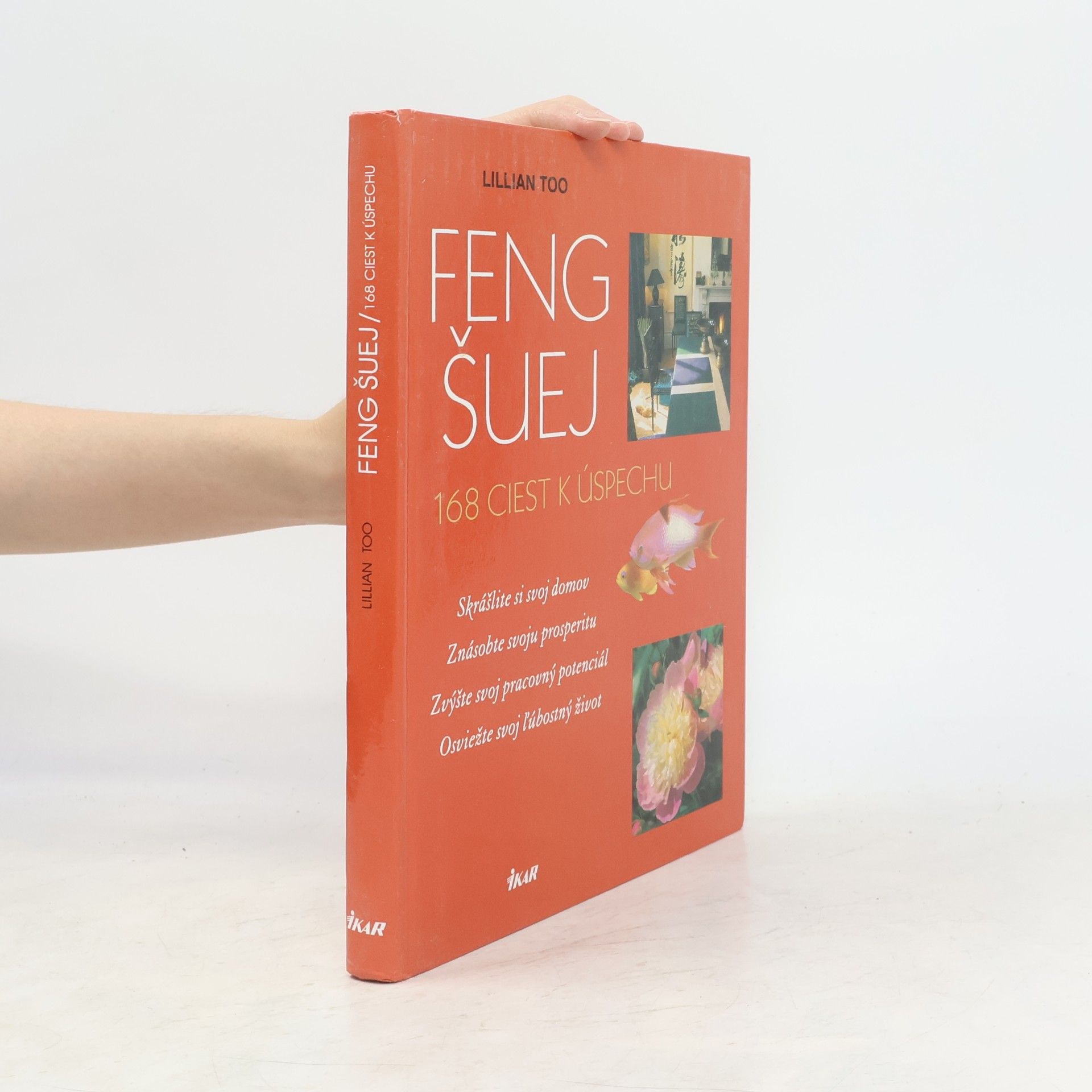 Lillian Too Feng šuej - 168 ciest k úspechu