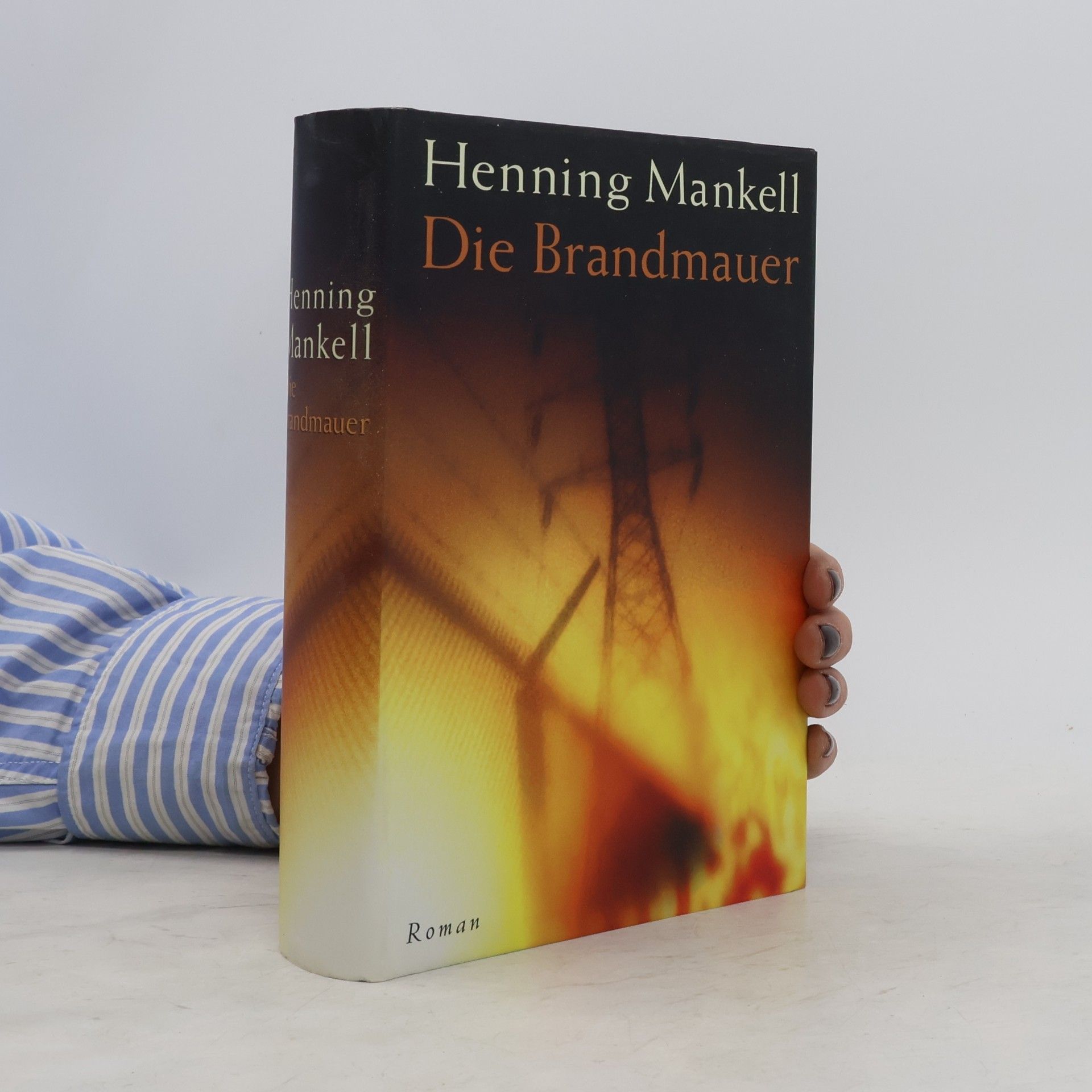 Henning Mankell Die Brandmauer