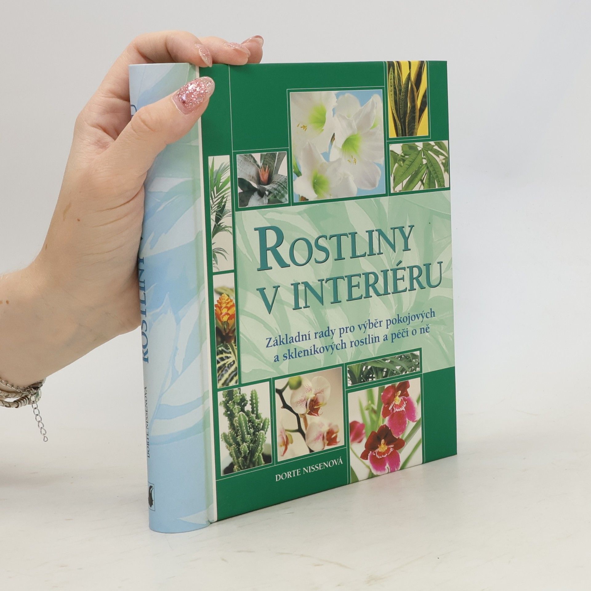 Dorte Nissen Rostliny v interiéru