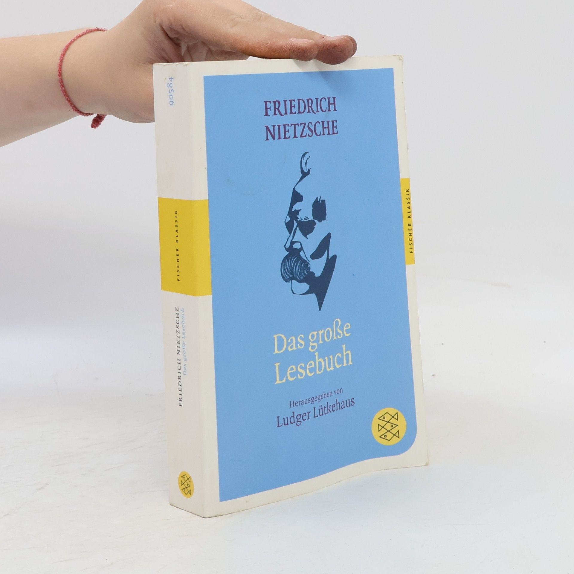 Friedrich Wilhelm Nietzsche Das große Lesebuch
