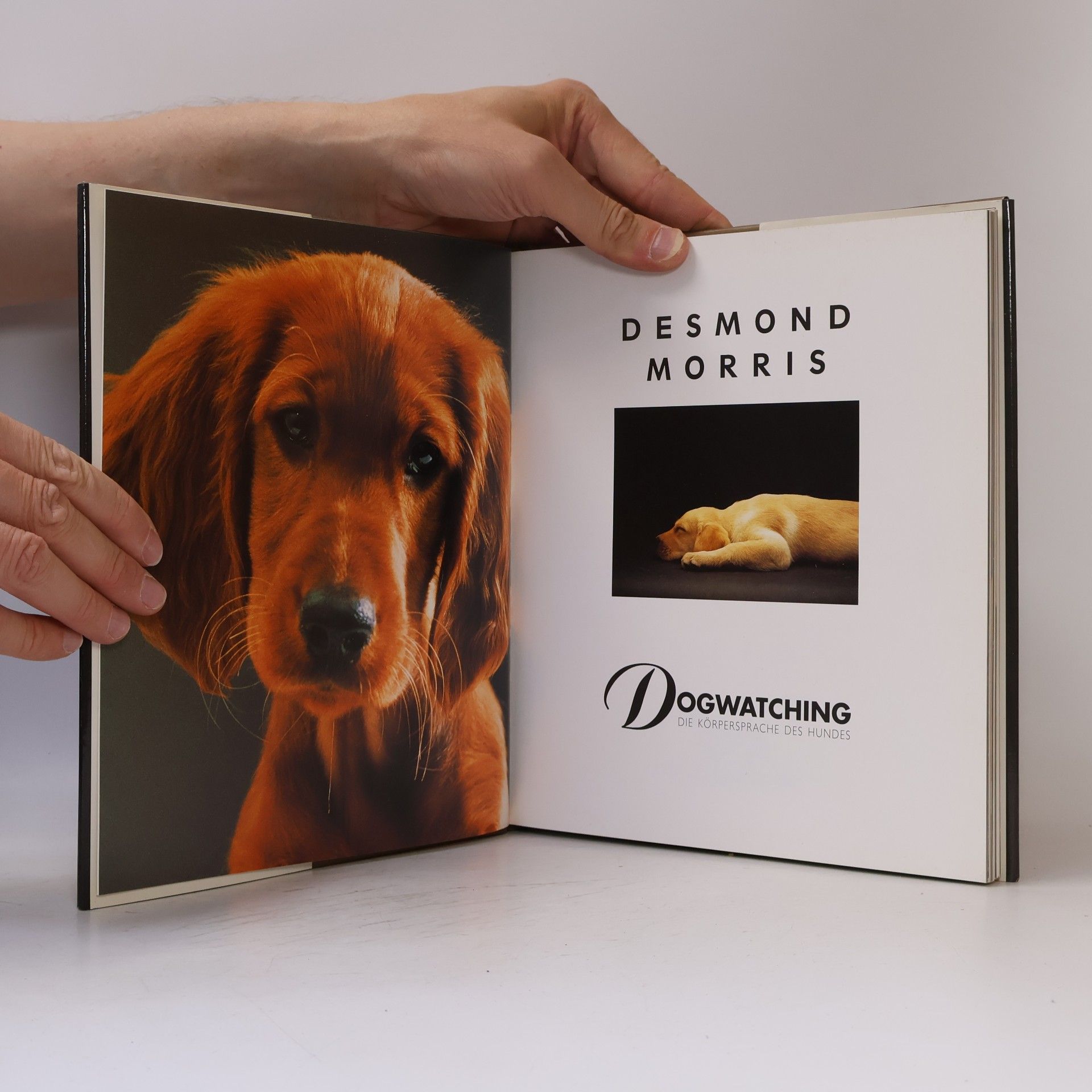 Desmond Morris Dogwatching. Die Körpersprache des Hundes