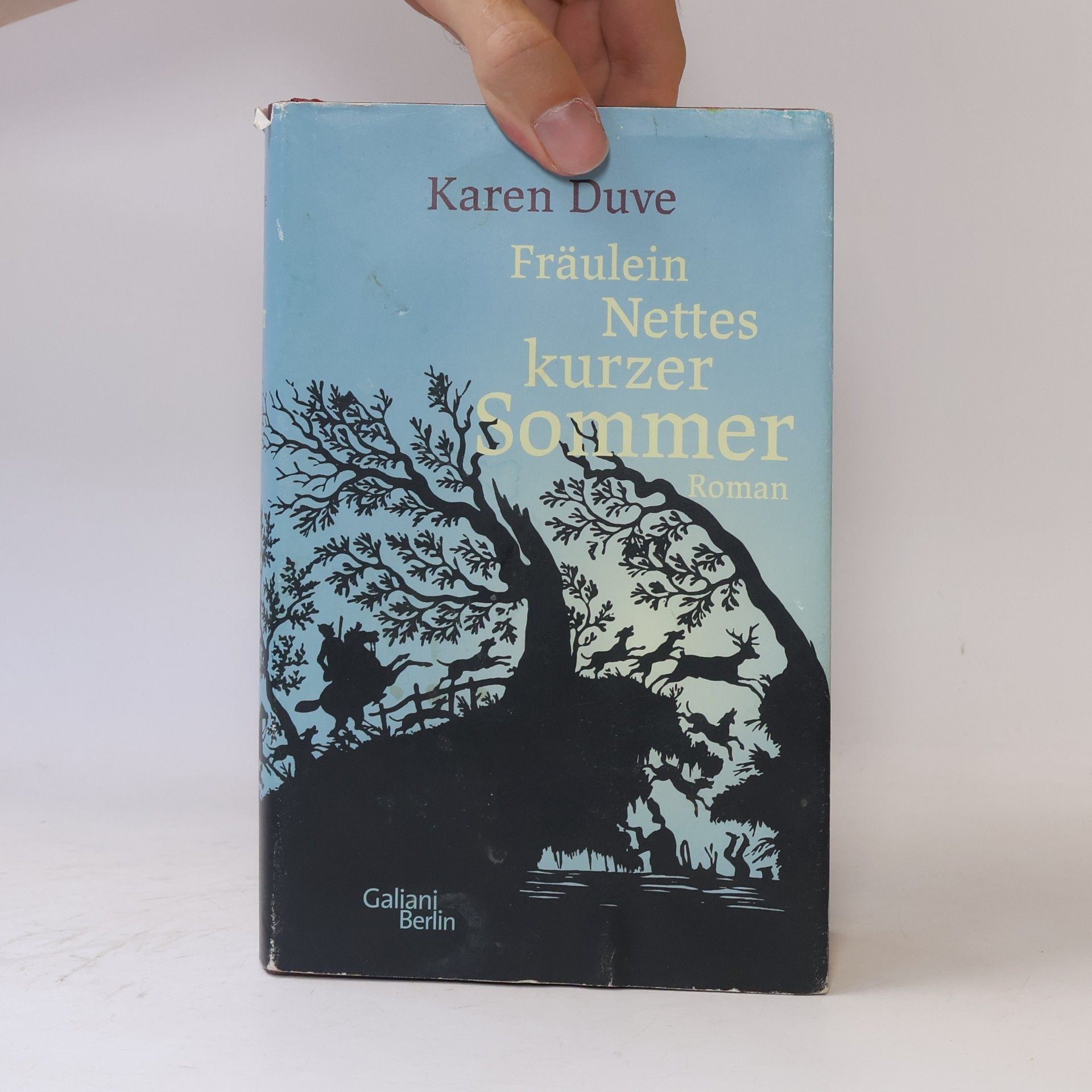 Karen Duve Fräulein Nettes kurzer Sommer