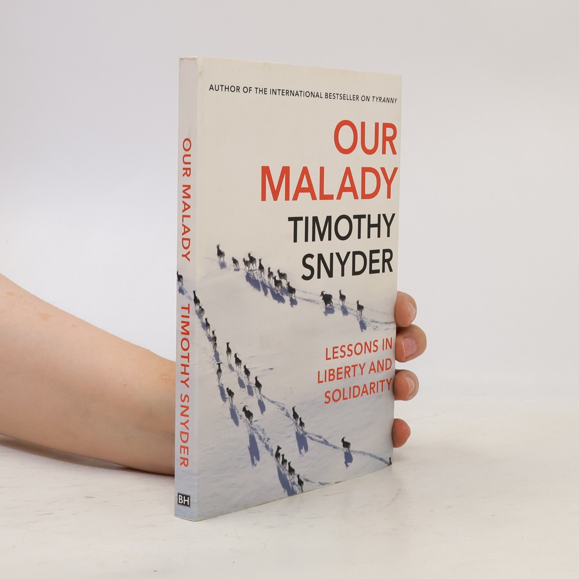 Timothy Snyder Our Malady