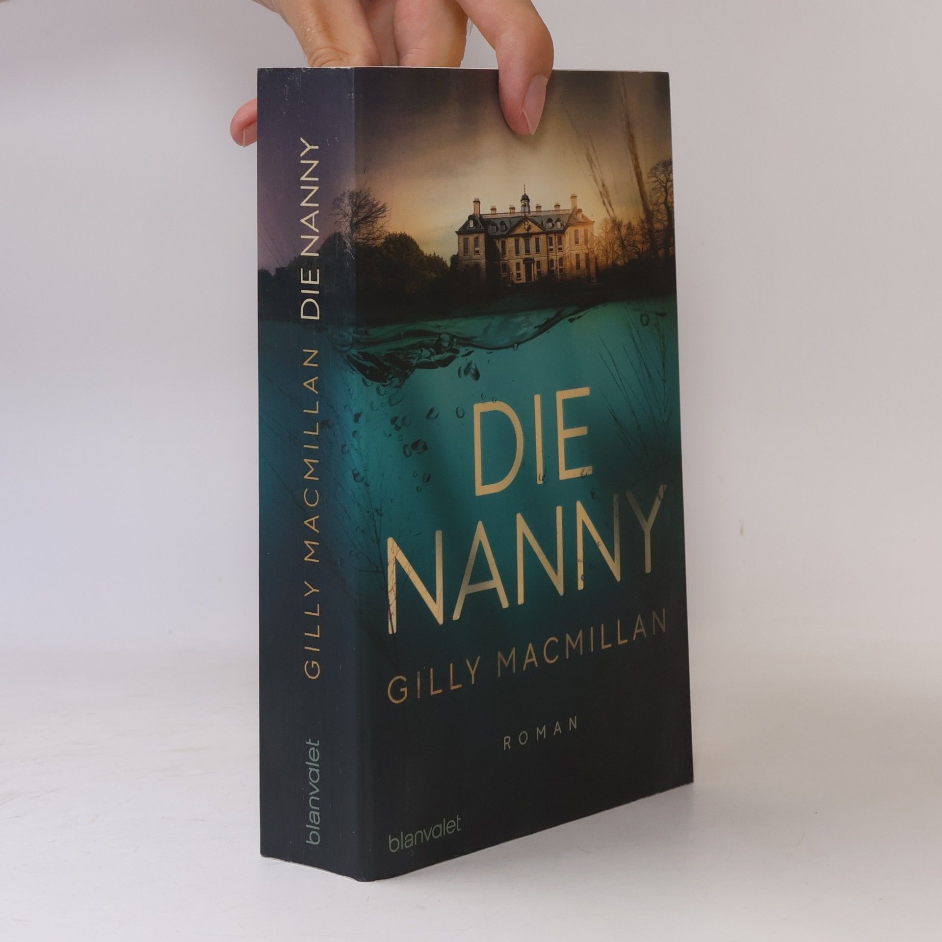Gilly Macmillan Die Nanny