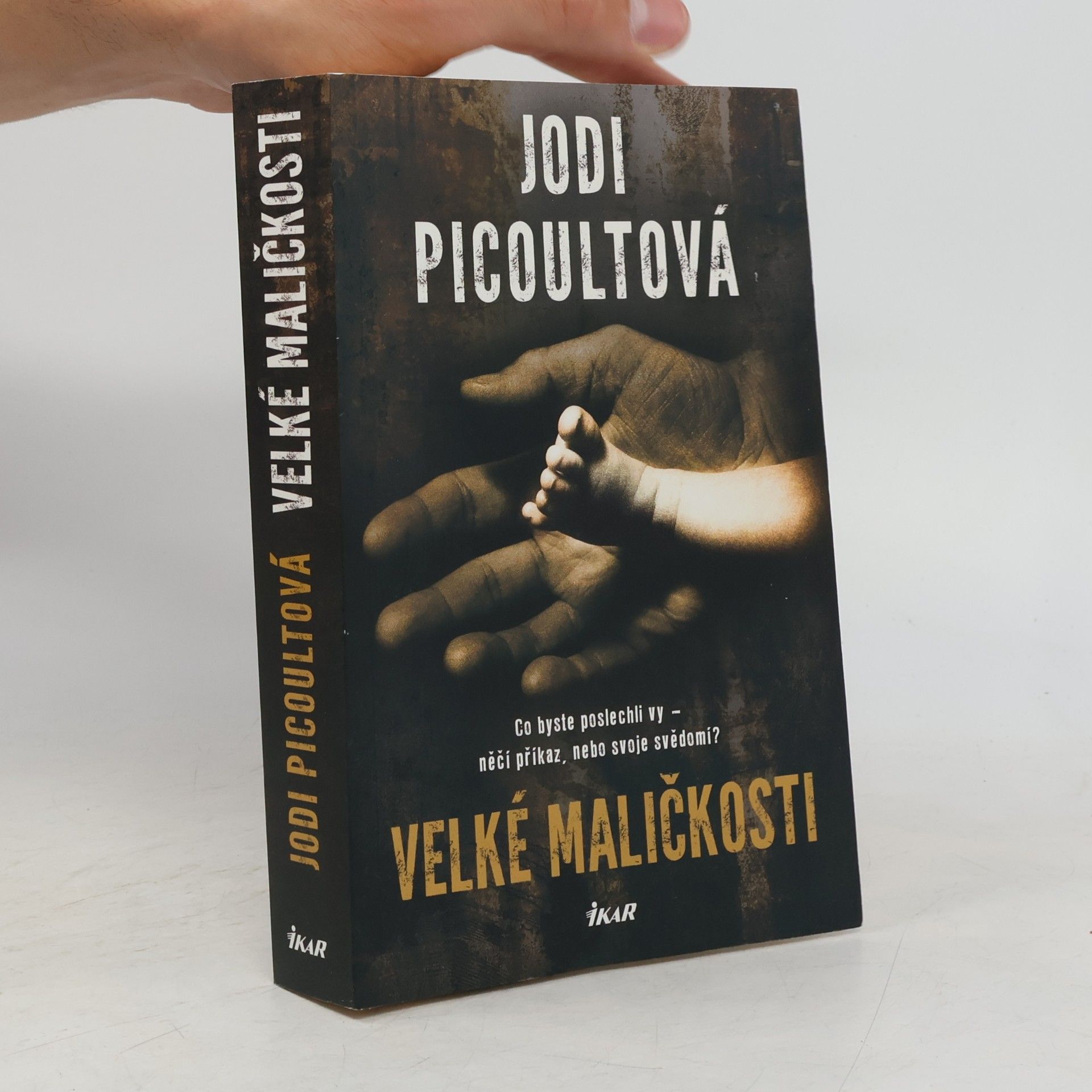 Jodi Picoult Velké maličkosti