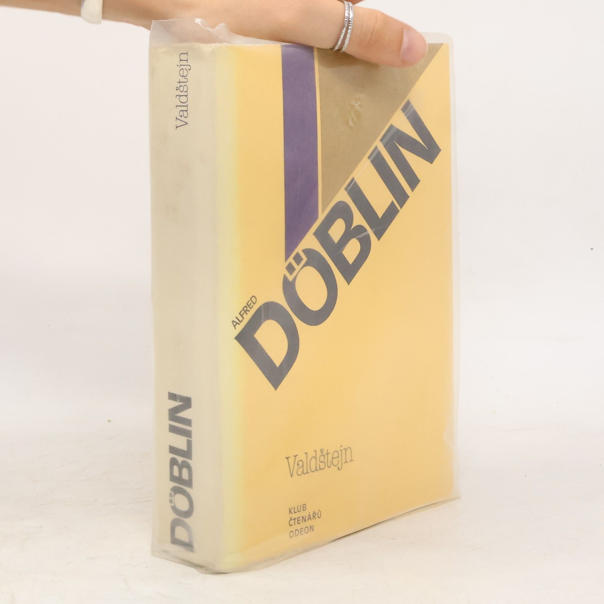 Alfred Döblin Valdštejn