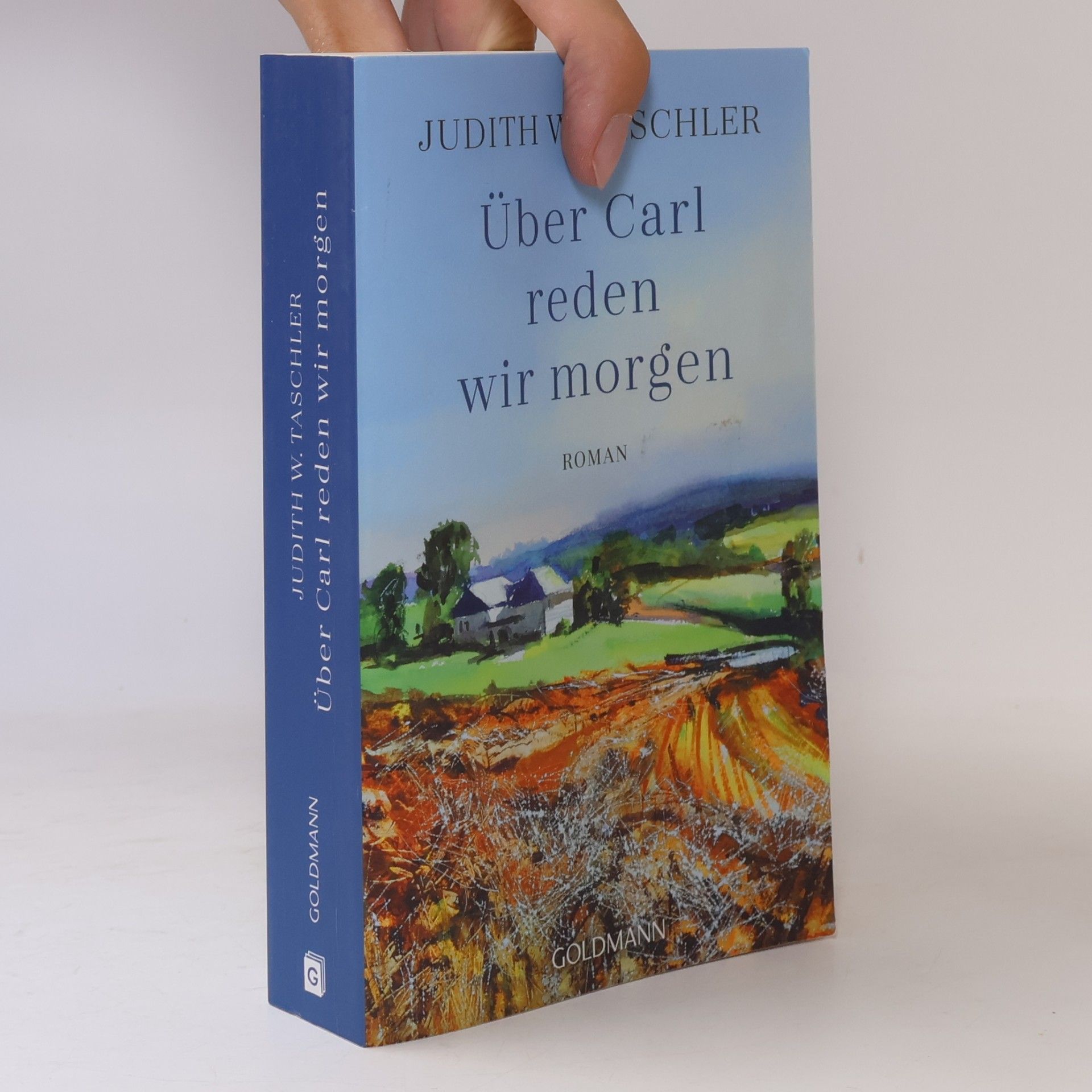 Judith Taschler Über Carl reden wir morgen
