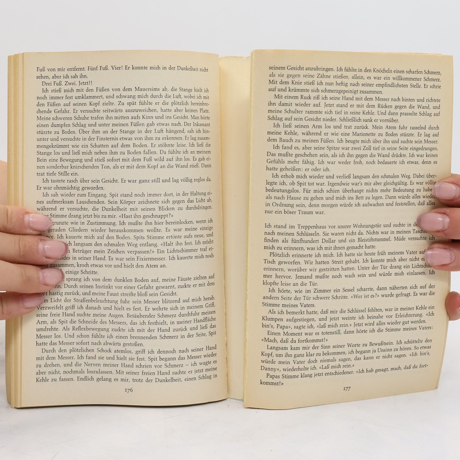 Harold Robbins Einen Stein für Danny Fisher