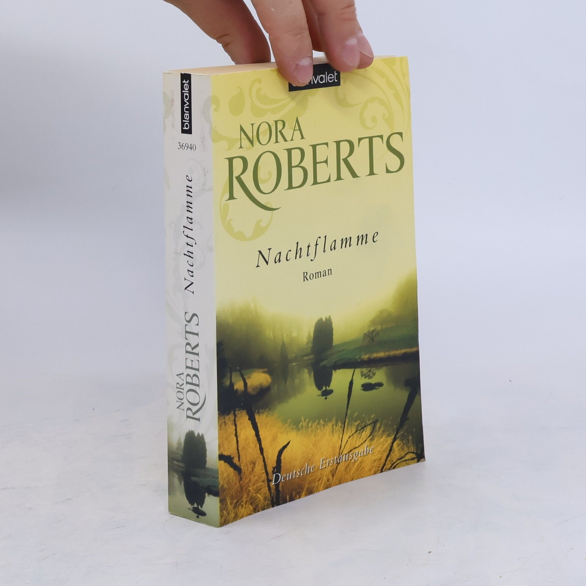 Nora Roberts Nachtflamme