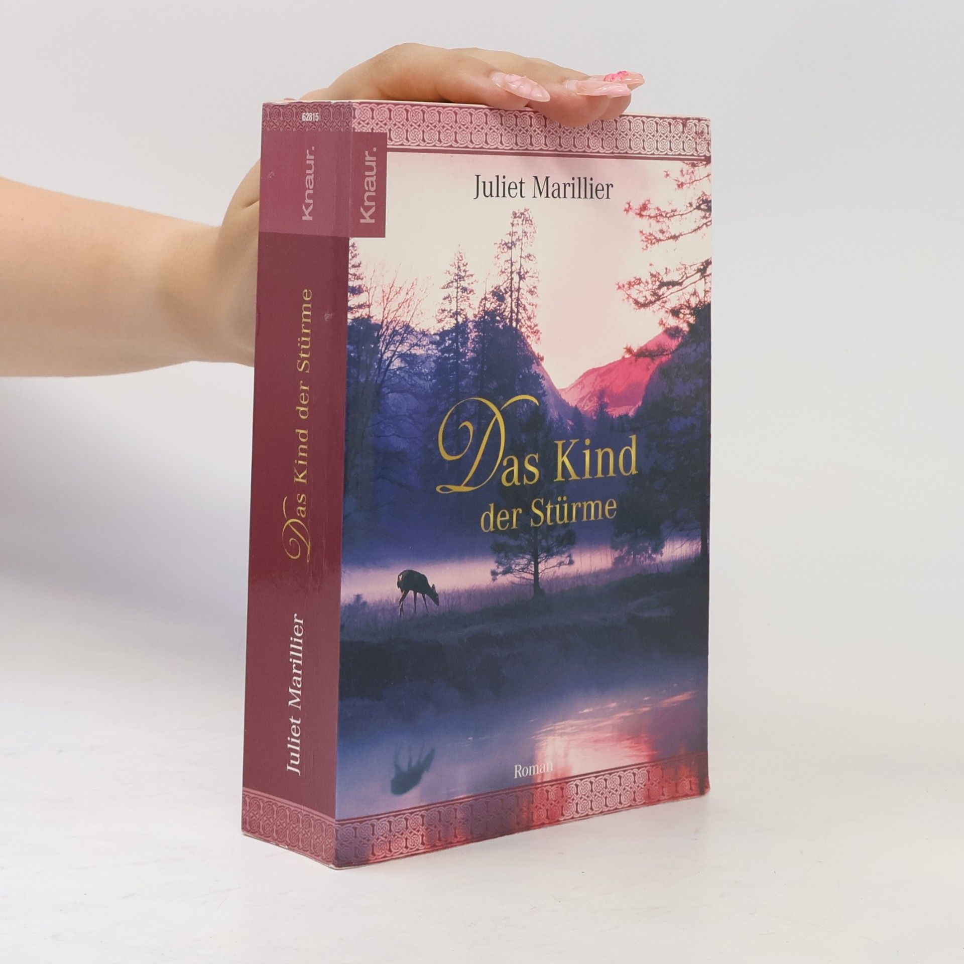 Juliet Marillier Das Kind der Stürme