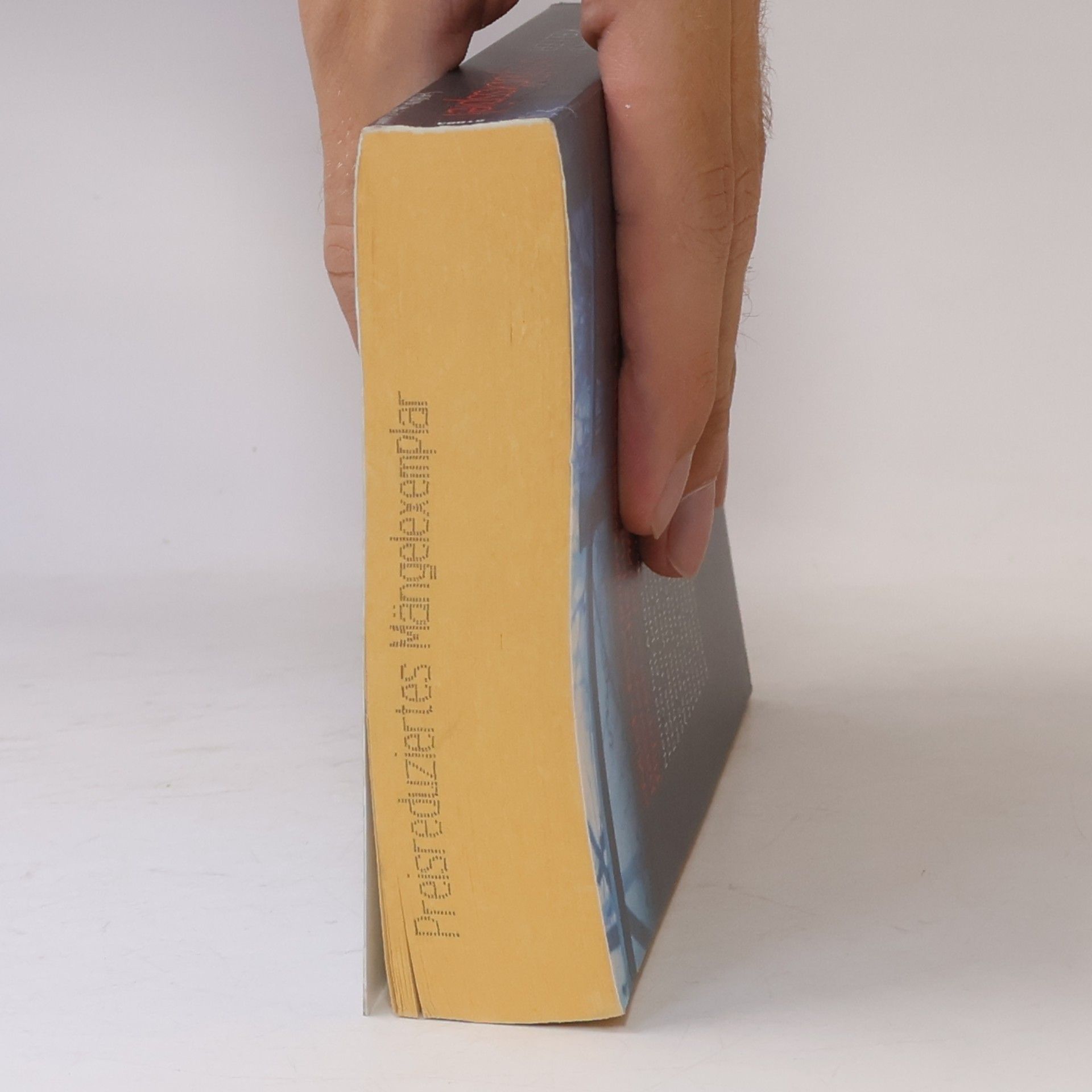 Ivonne Keller Unglücksspiel