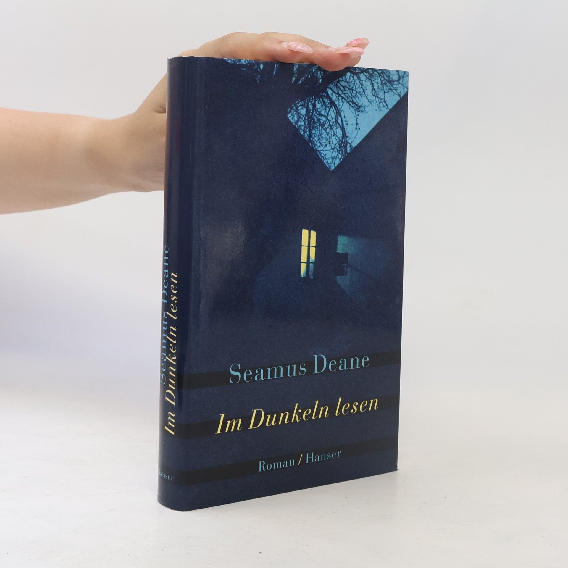 Seamus Deane Im Dunkeln lesen