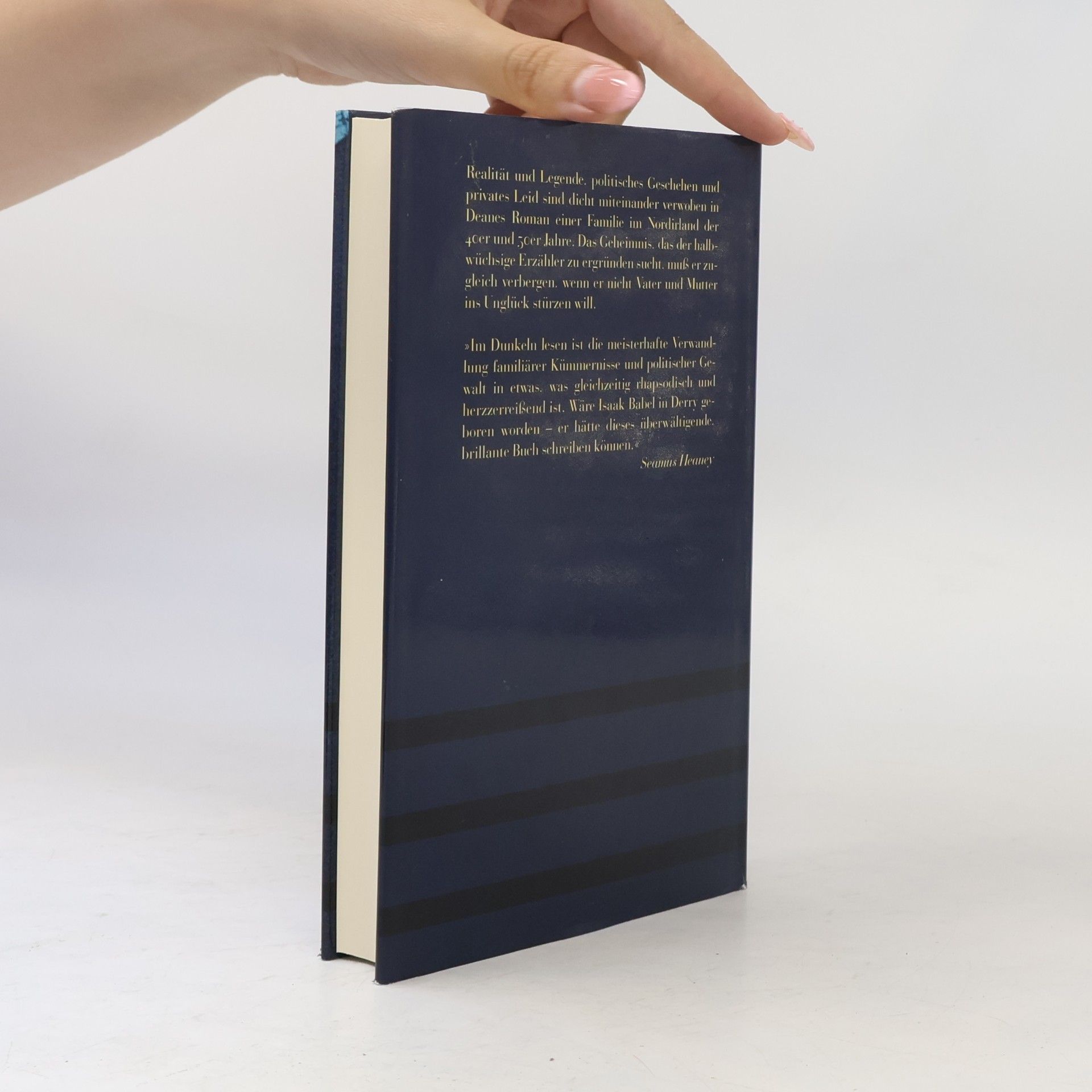 Seamus Deane Im Dunkeln lesen