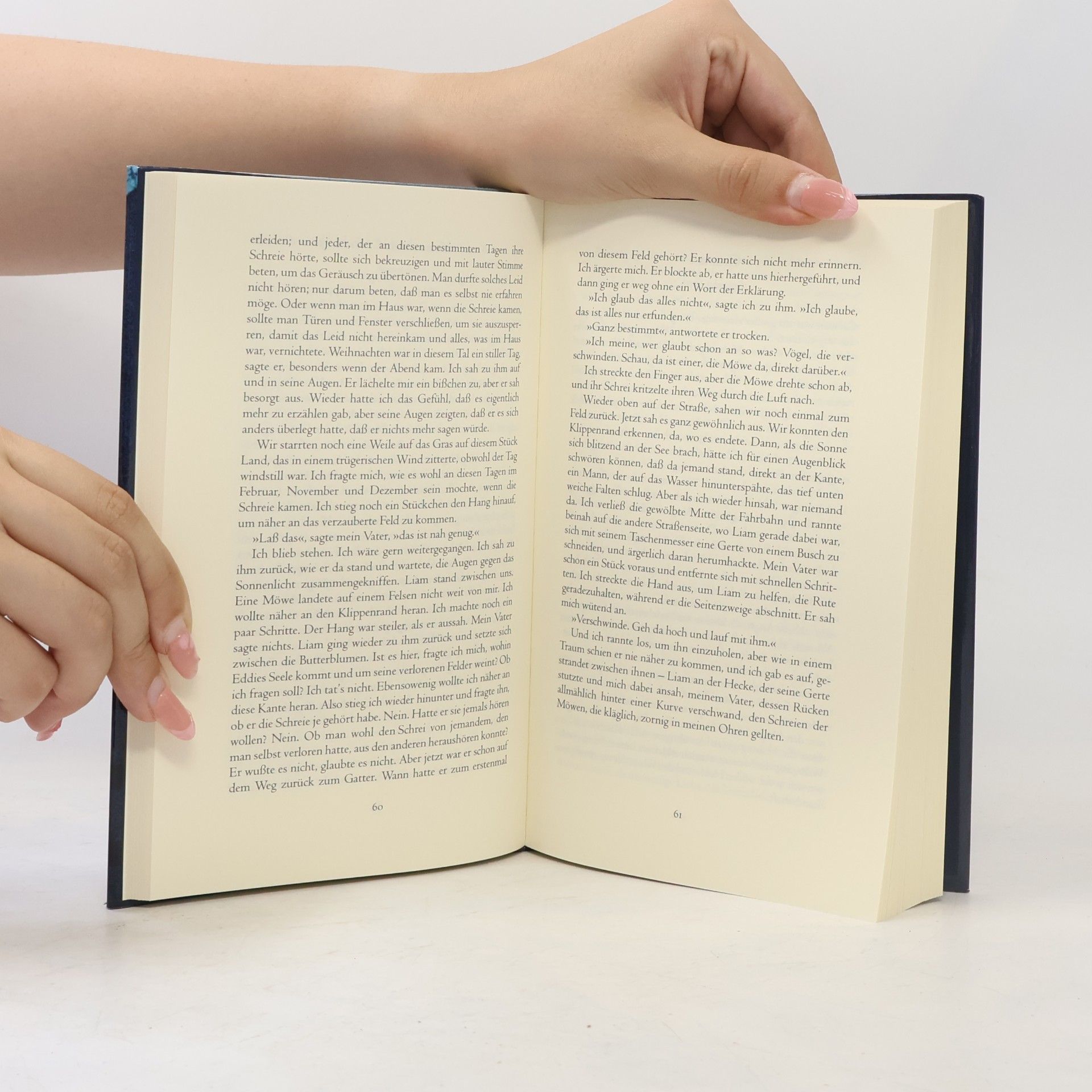 Seamus Deane Im Dunkeln lesen