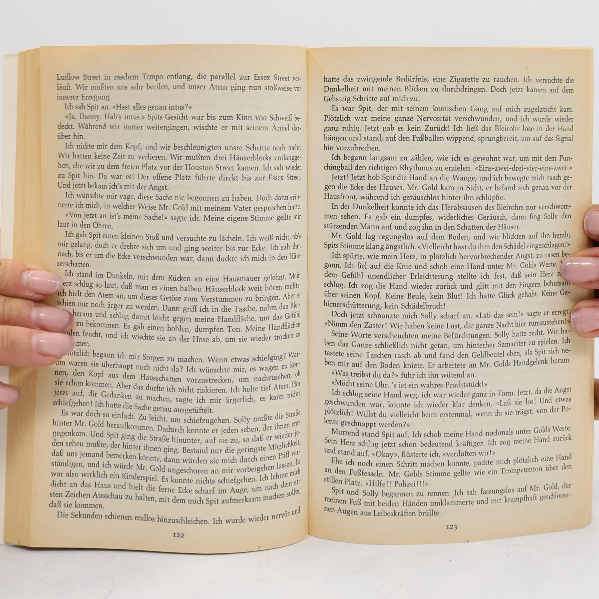 Harold Robbins Ein Stein für Danny Fisher