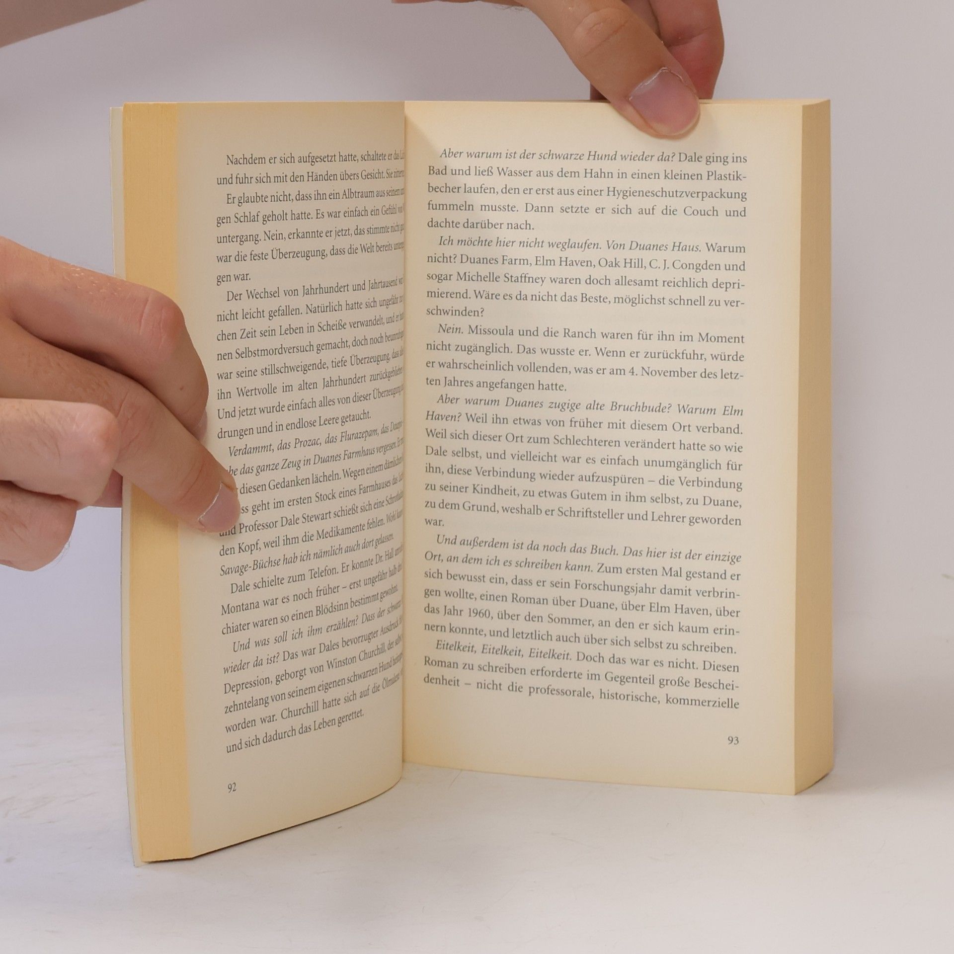 Dan Simmons Im Auge des Winters