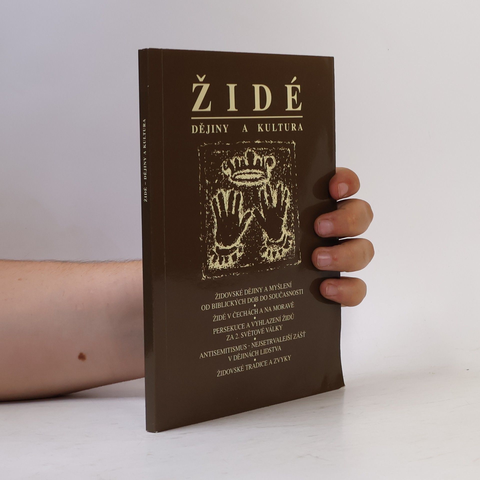 Kolektiv autorů Židé. Dějiny a kultura