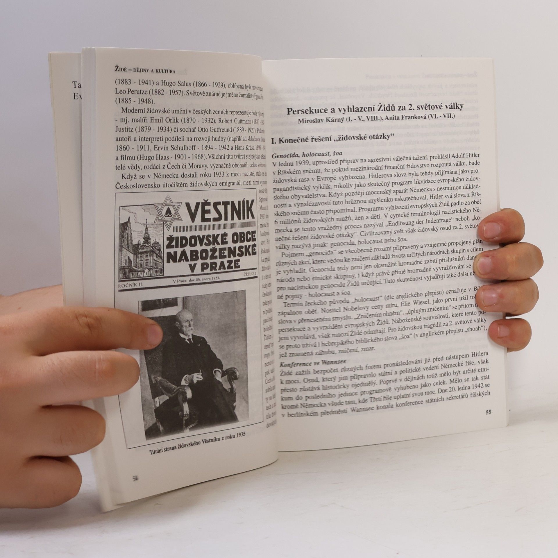 Kolektiv autorů Židé. Dějiny a kultura