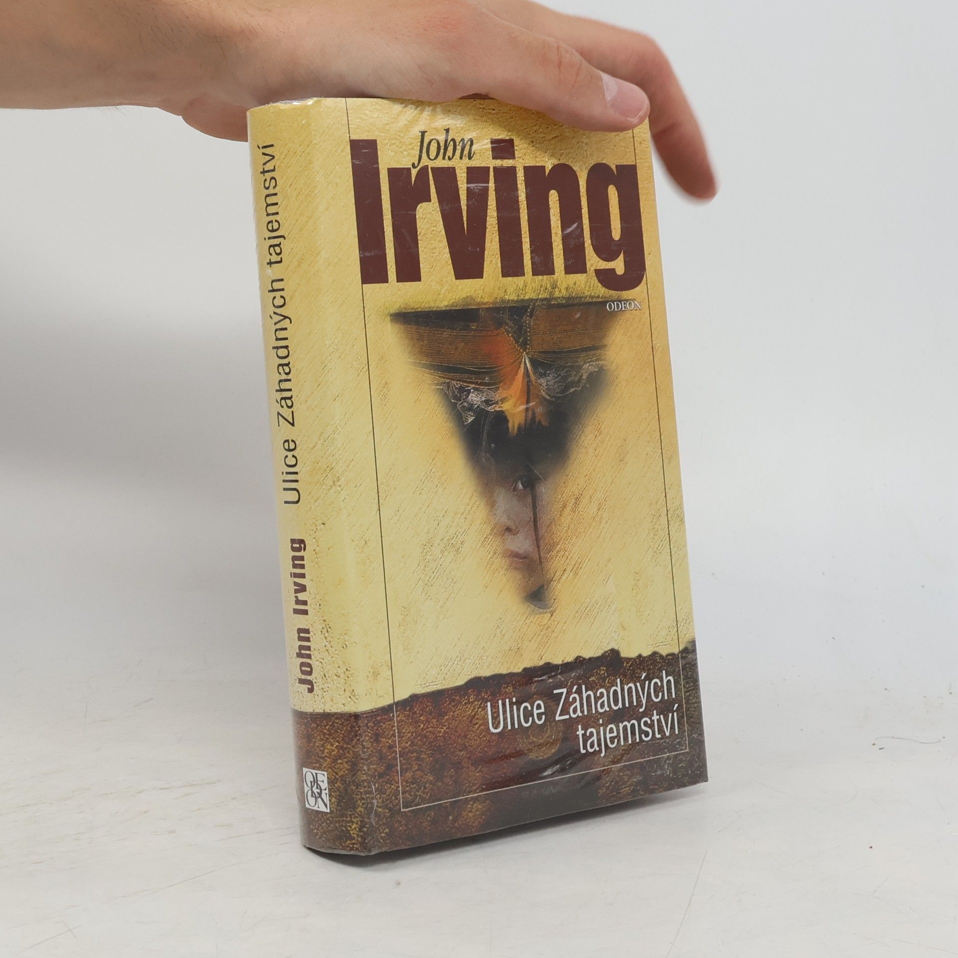 John Irving Ulice Záhadných tajemství
