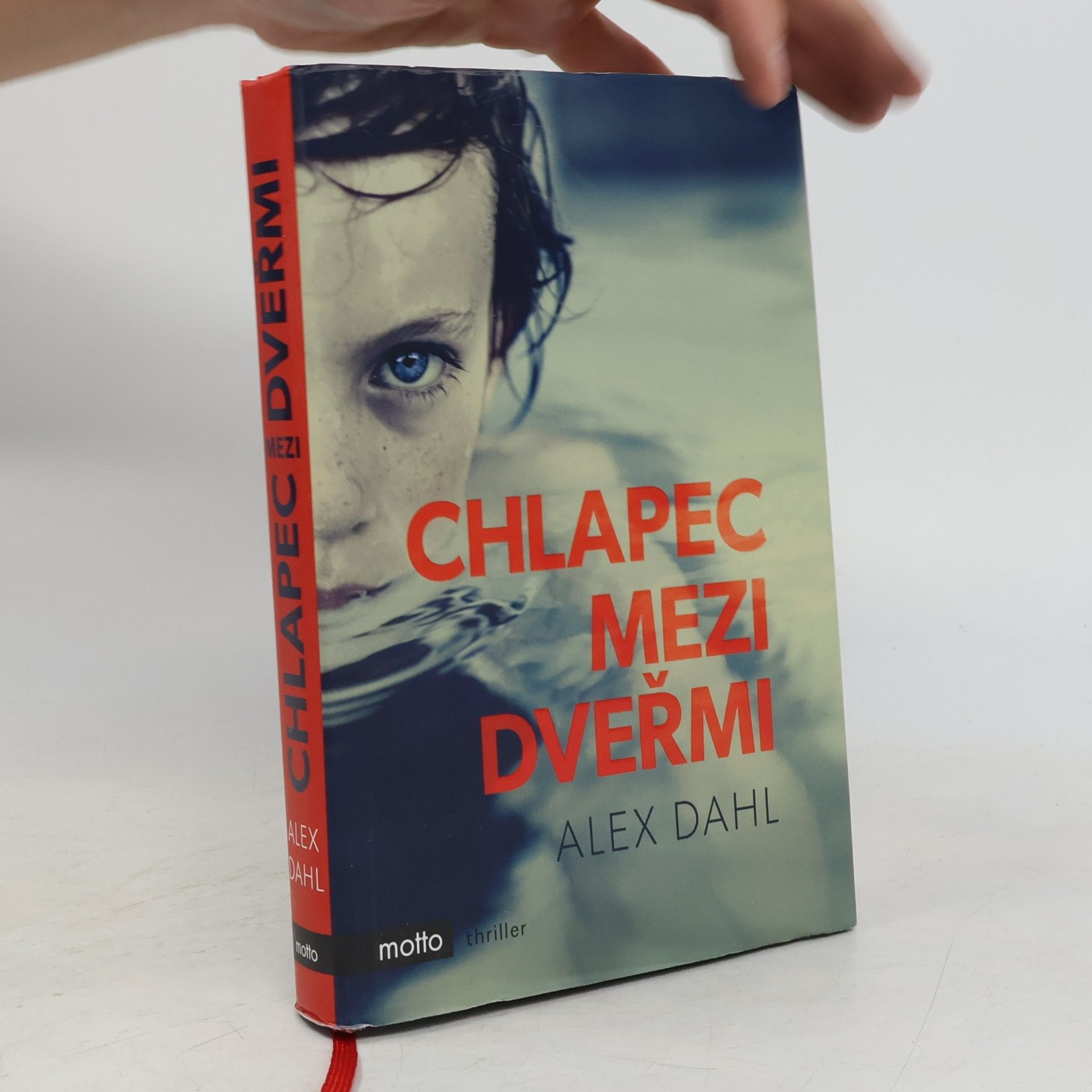 Alex Dahl Chlapec mezi dveřmi