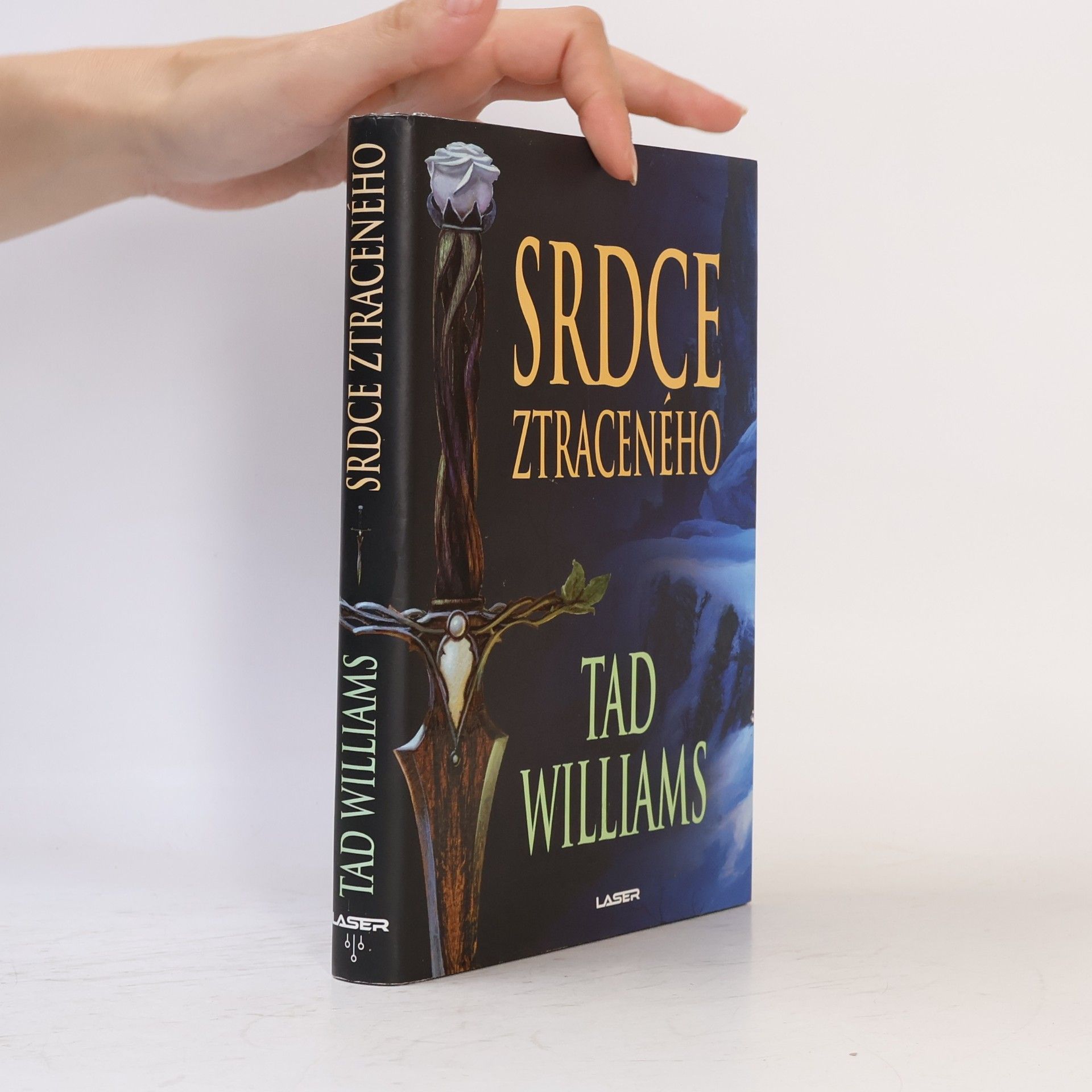 Tad Williams Srdce ztraceného