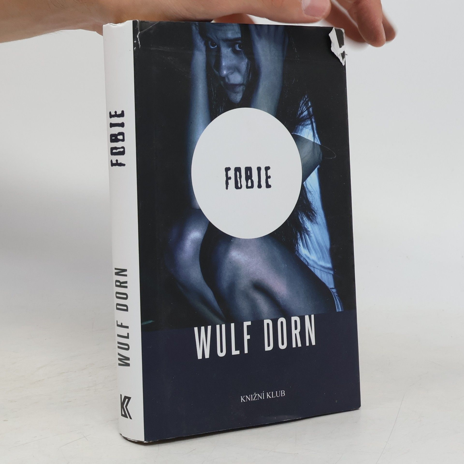 Wulf Dorn Fobie