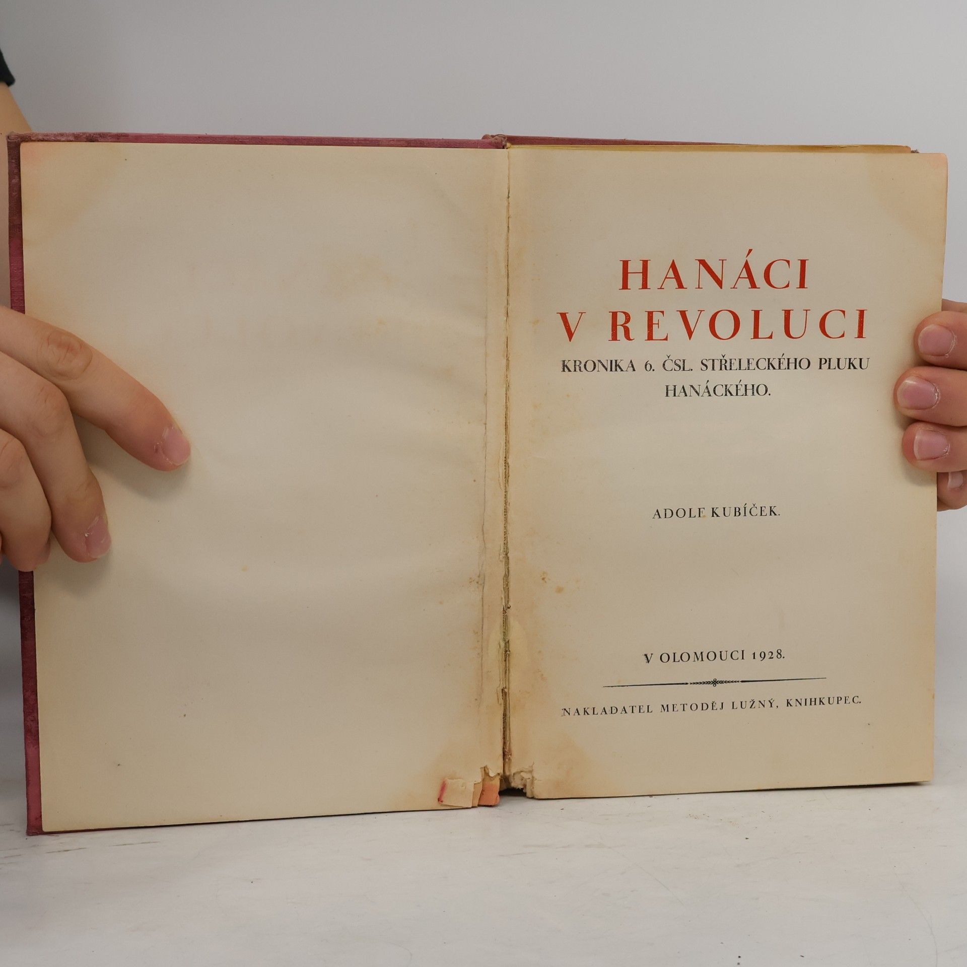 Adolf Kubíček Hanáci v revoluci