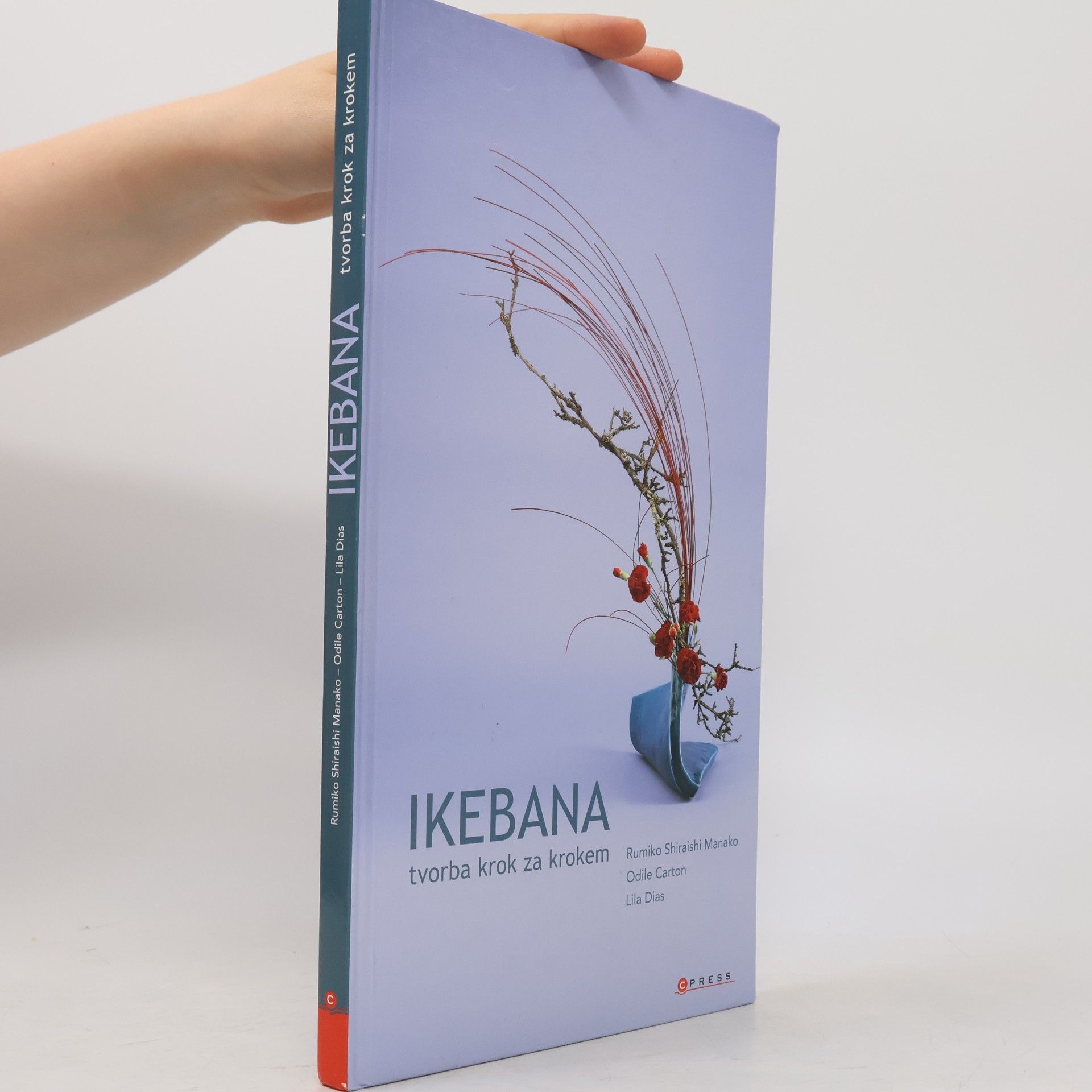 Manako Rumiko Shiraishi Ikebana. Tvorba krok za krokem