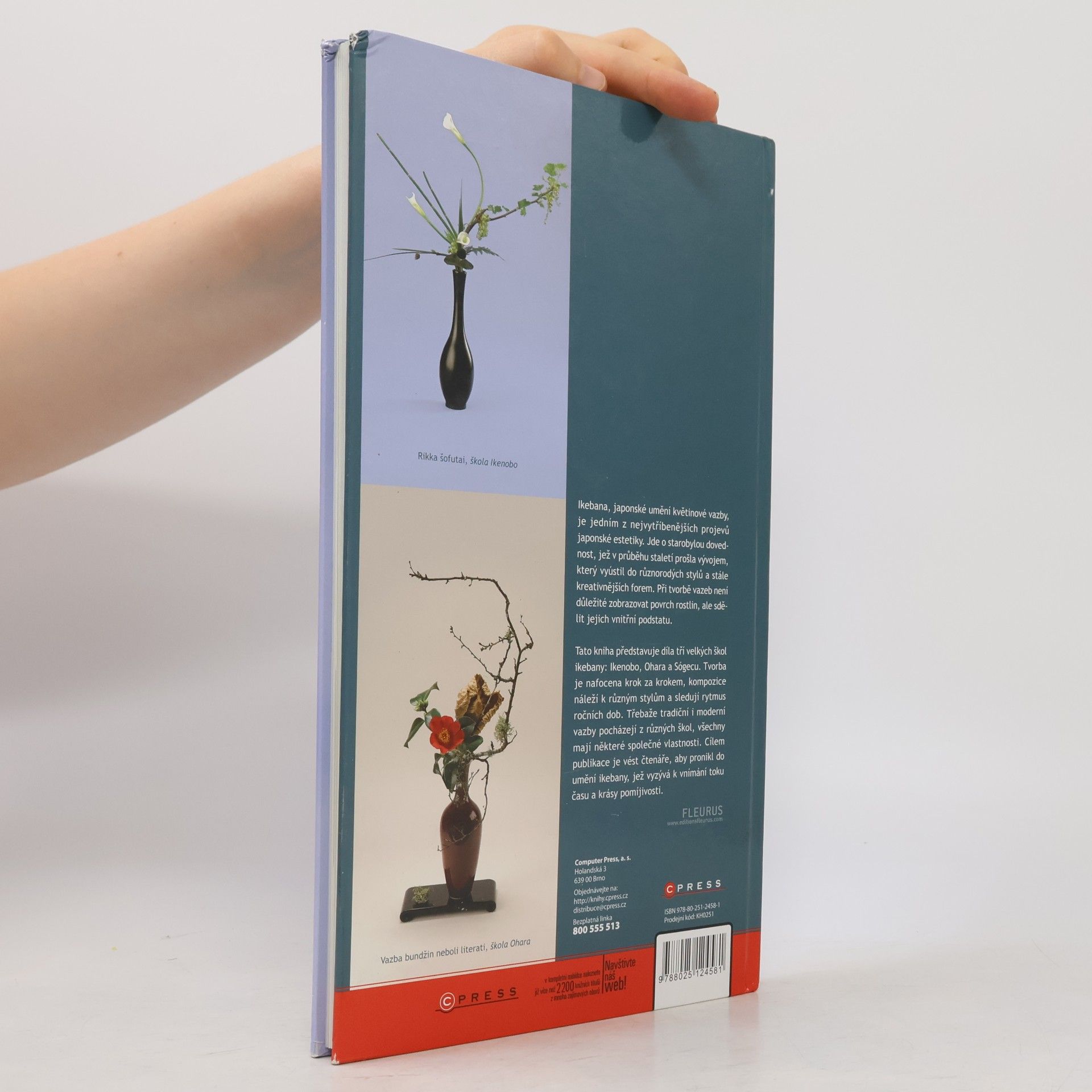 Lila Dias Ikebana. Tvorba krok za krokem