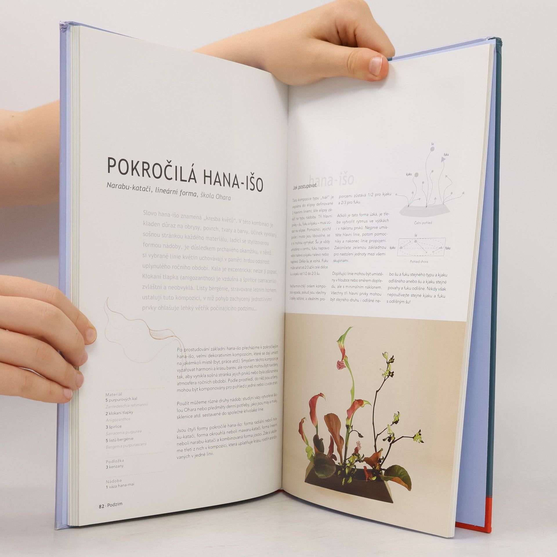 Lila Dias Ikebana. Tvorba krok za krokem