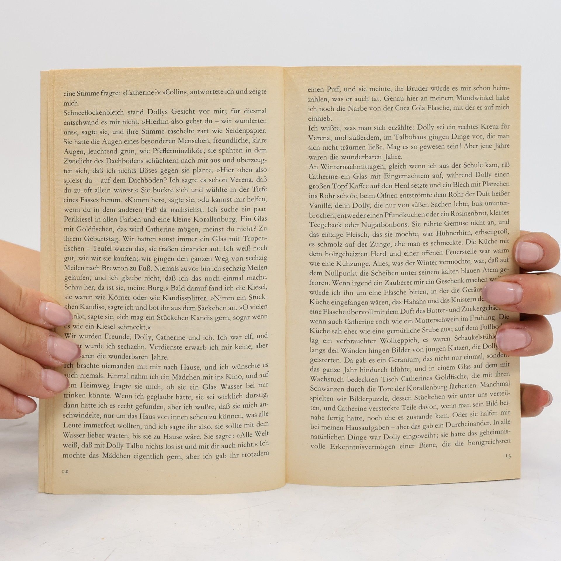 Truman Capote Die Grasharfe