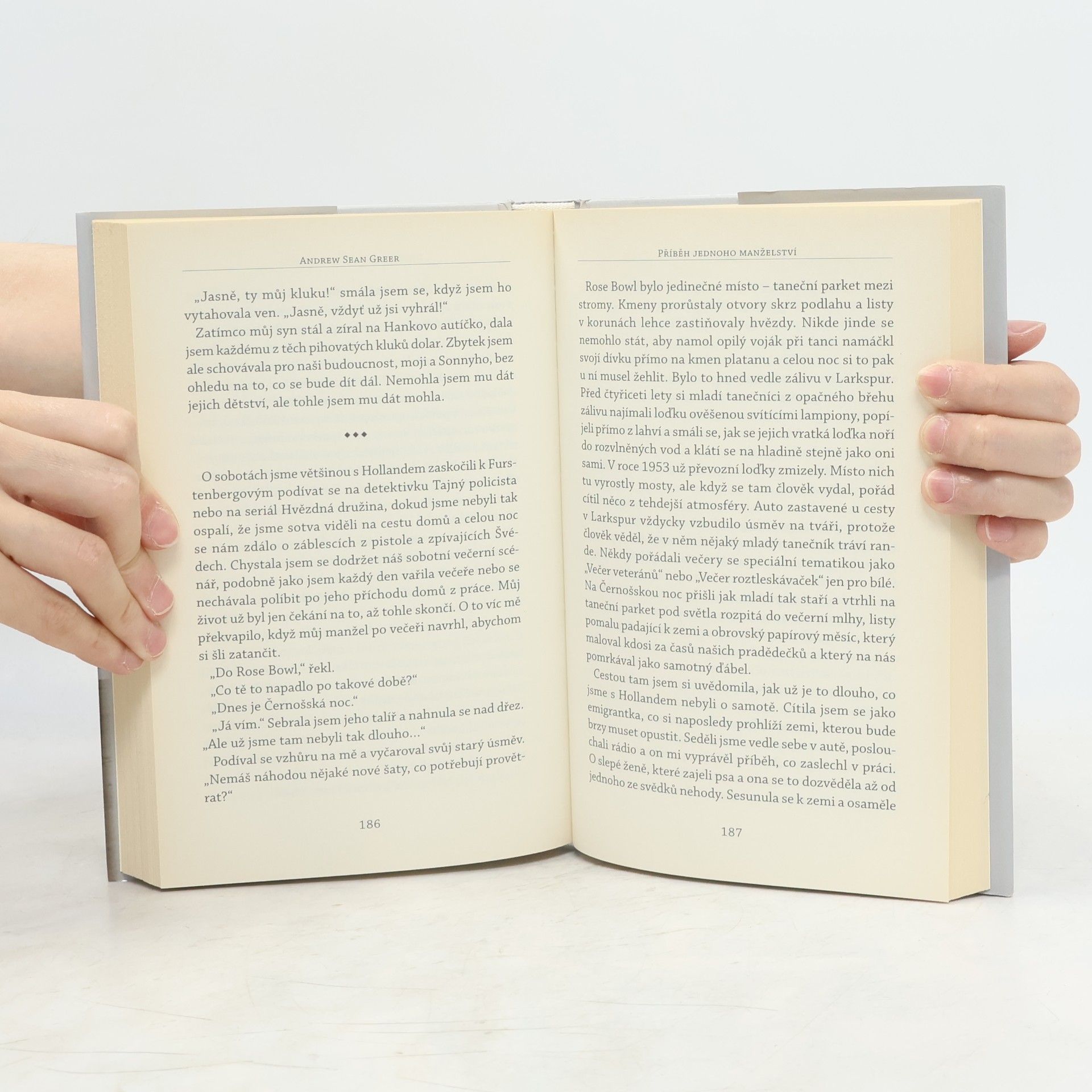 Andrew Sean Greer Příběh jednoho manželství