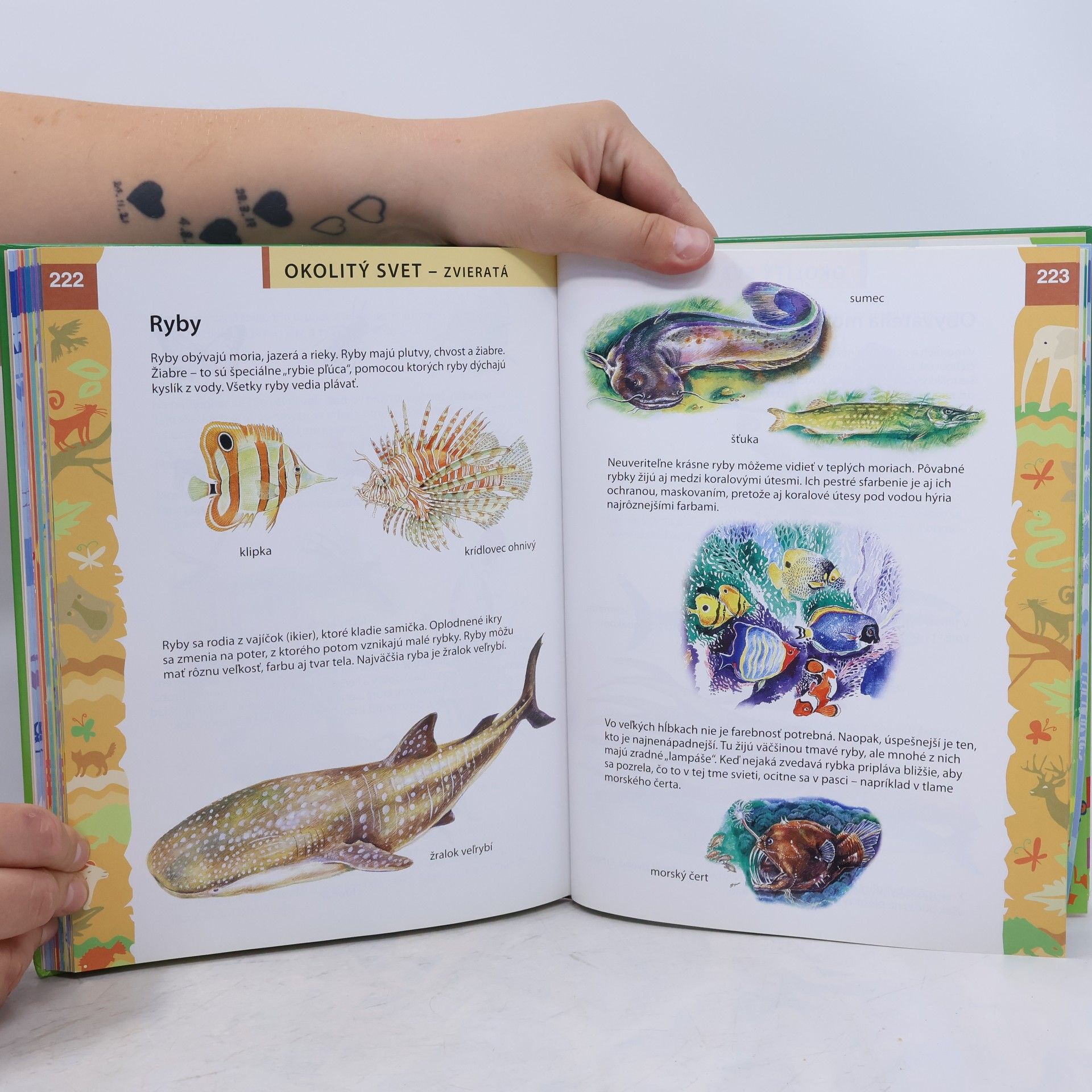 Autores varios Encyklopédia predškoláka