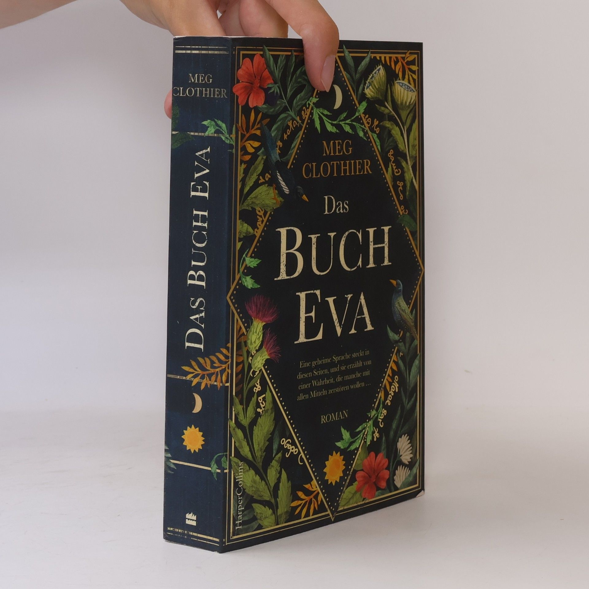 Meg Clothier Das Buch Eva