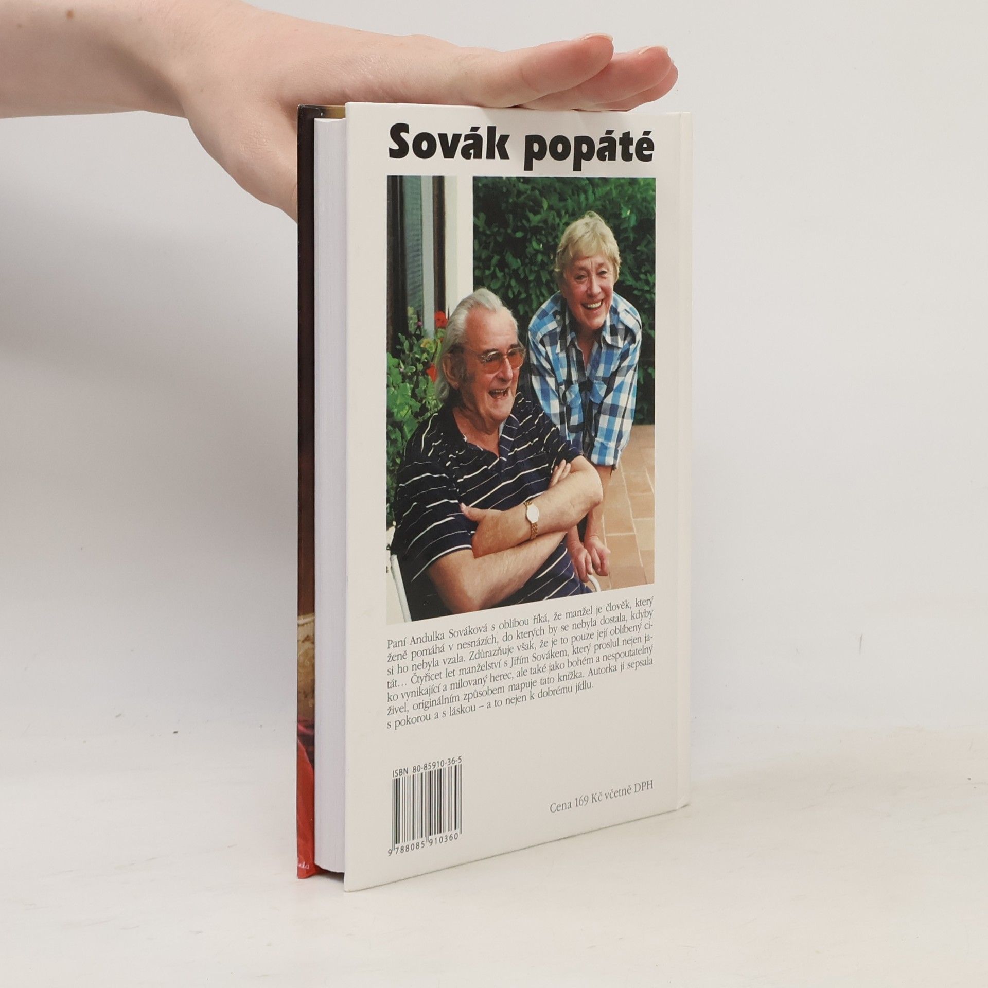 Anna Sováková Sovák popáté. Život se Sovákem, aneb, Uragán