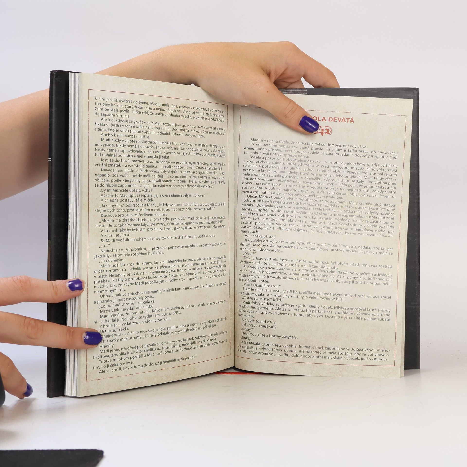 Cullen Bunn Hejna běsů. Pochmurný kraj
