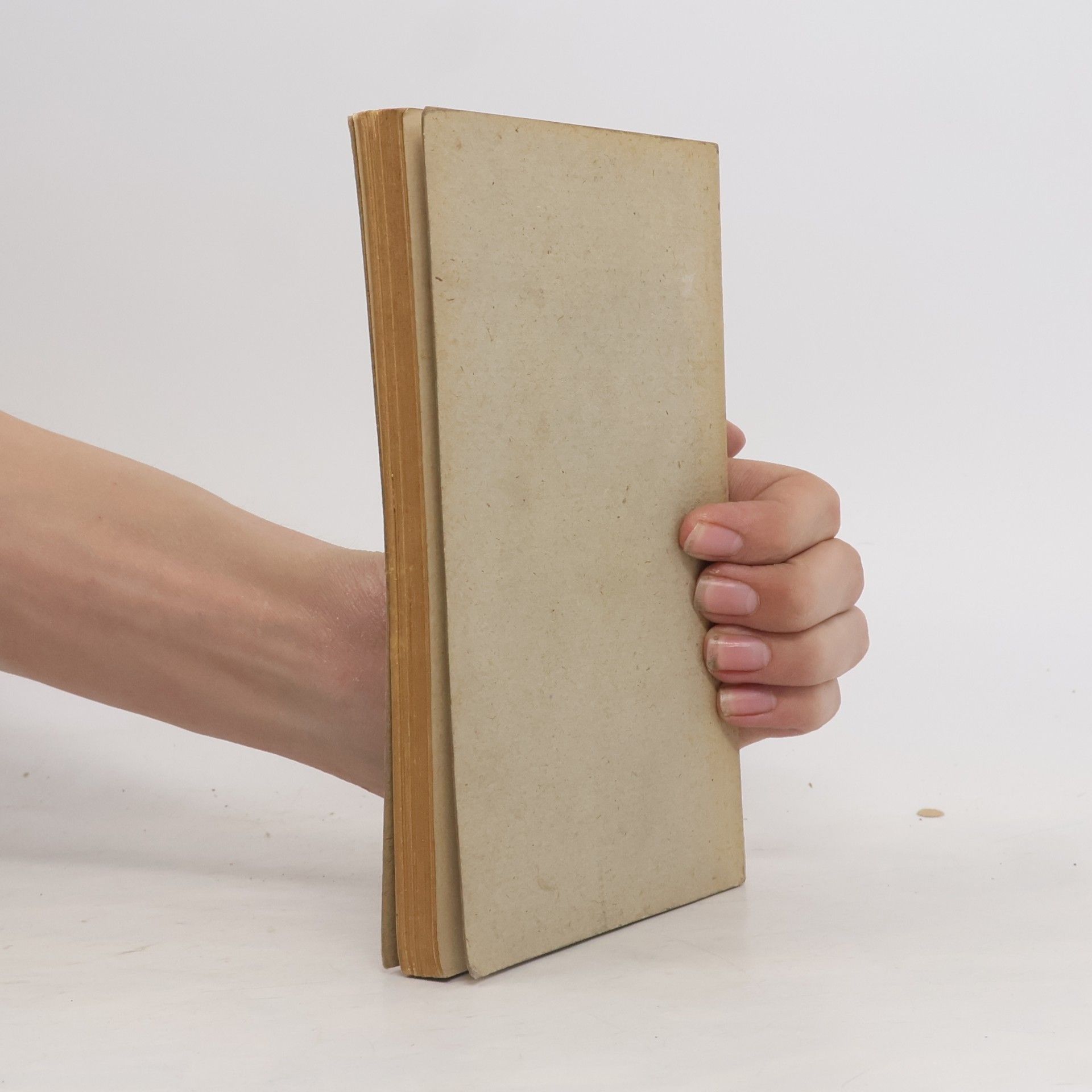 Paul Menzer Einleitung in die Philosophie