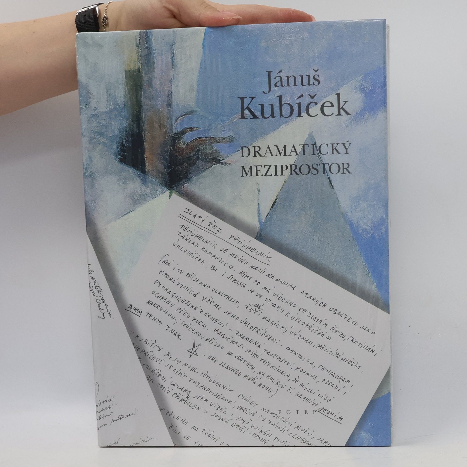 Jánuš Kubíček Dramatický meziprostor