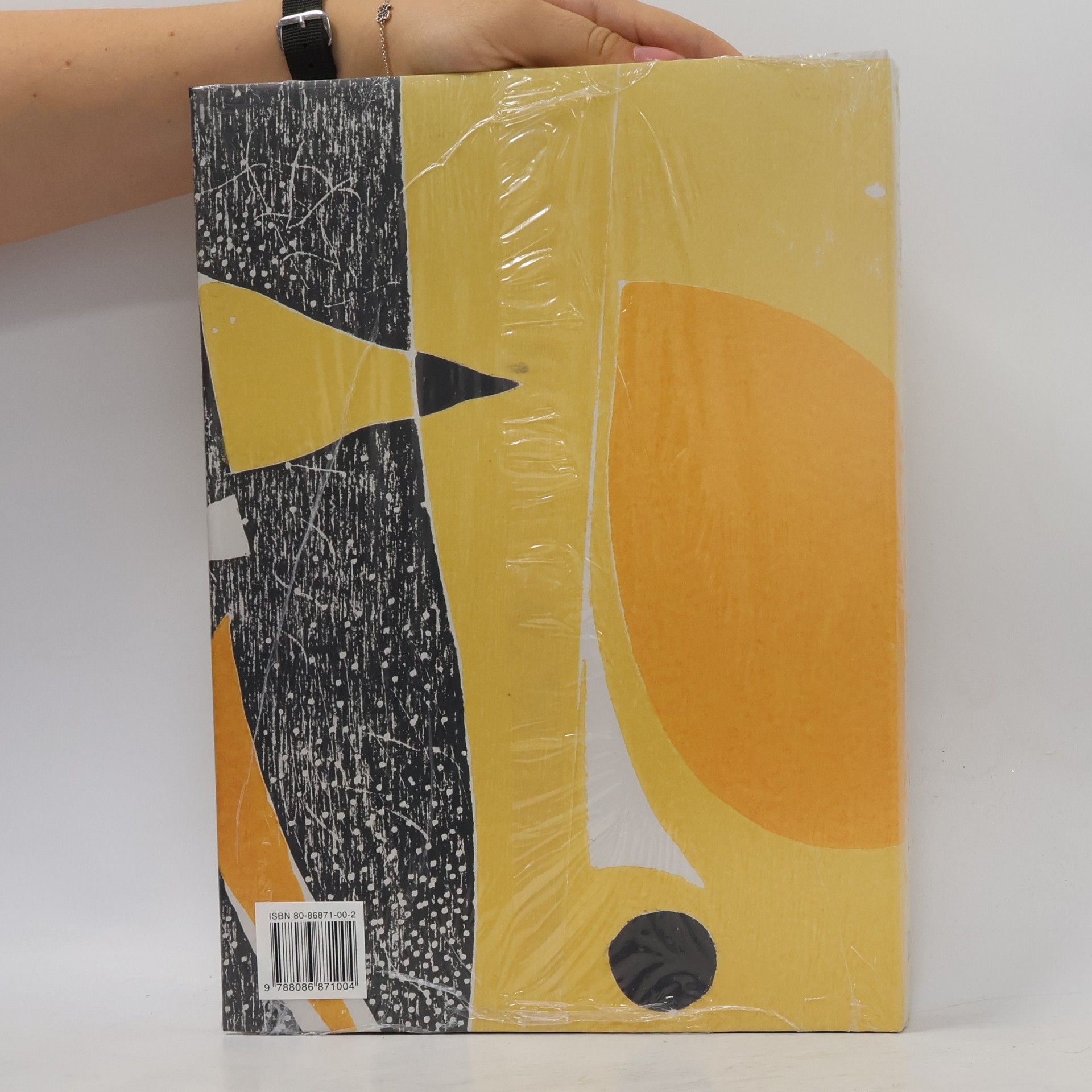 Jánuš Kubíček Jánuš Kubíček. Kresba a grafika. Drawings and Graphics