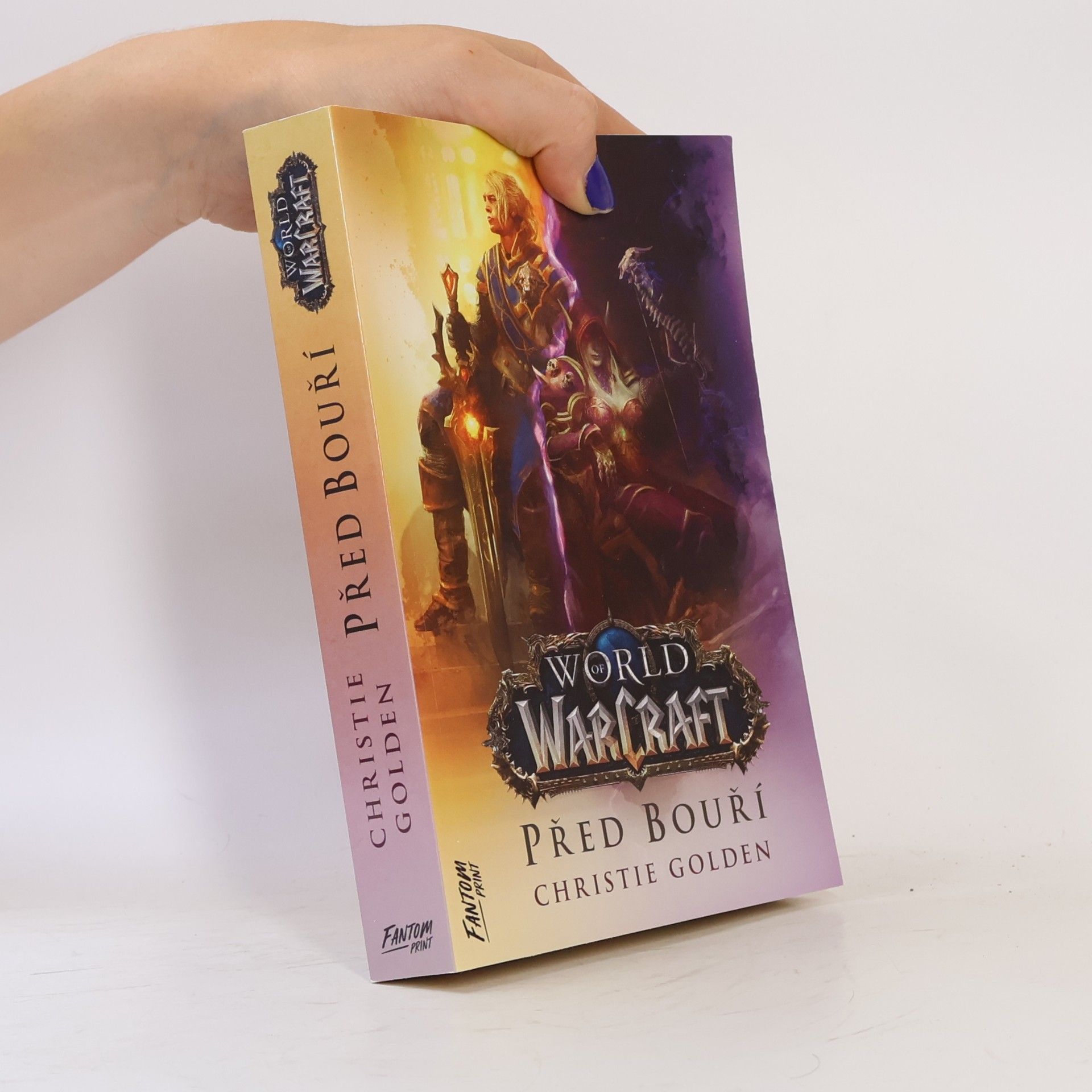 World of WarCraft. Před bouří