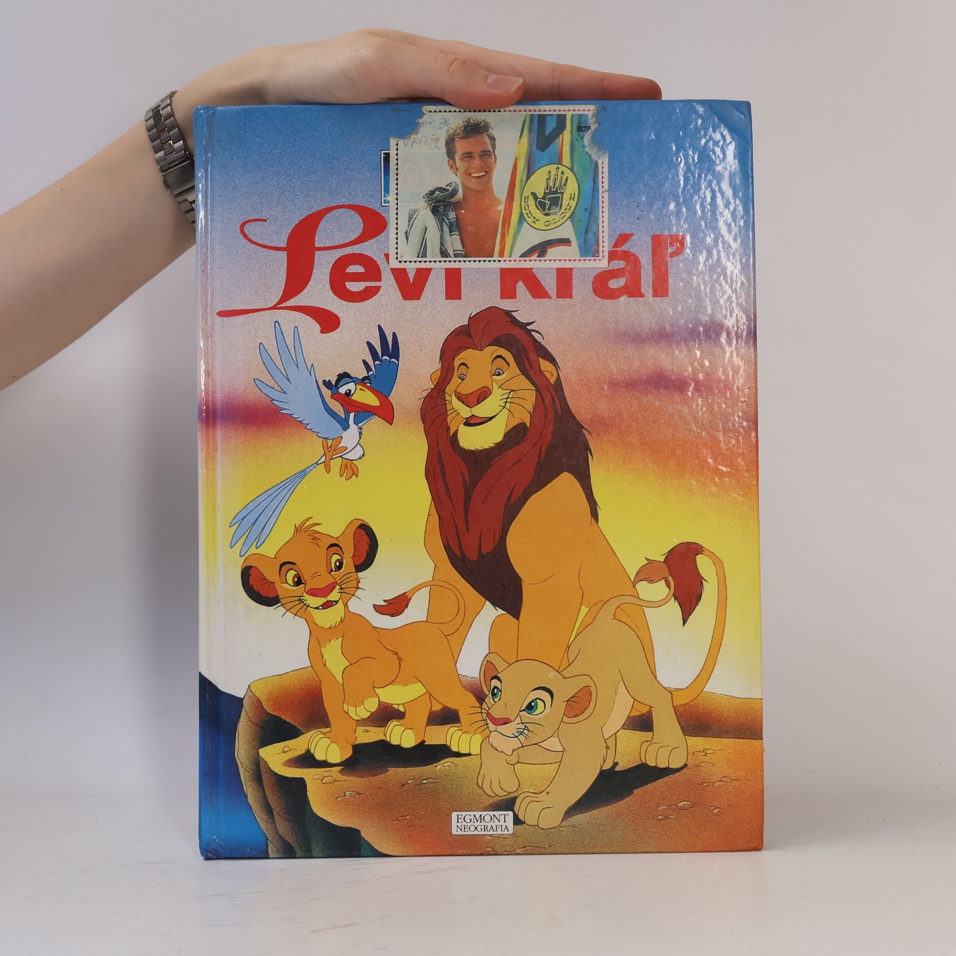 Autorenkollektiv Leví kráĺ