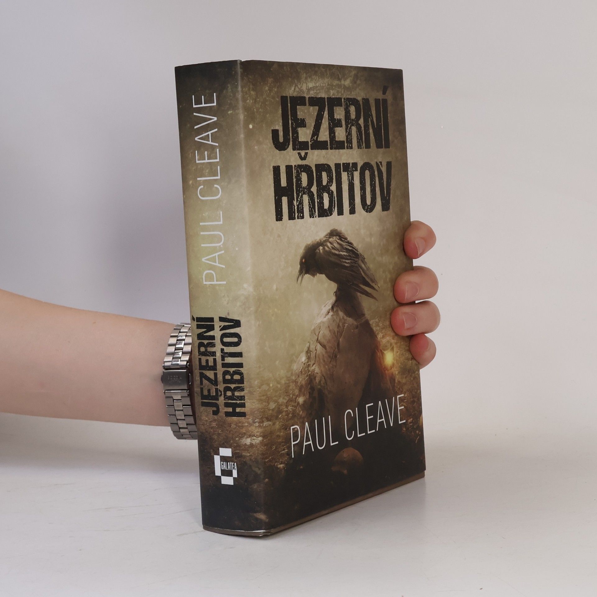Paul Cleave Jezerní hřbitov