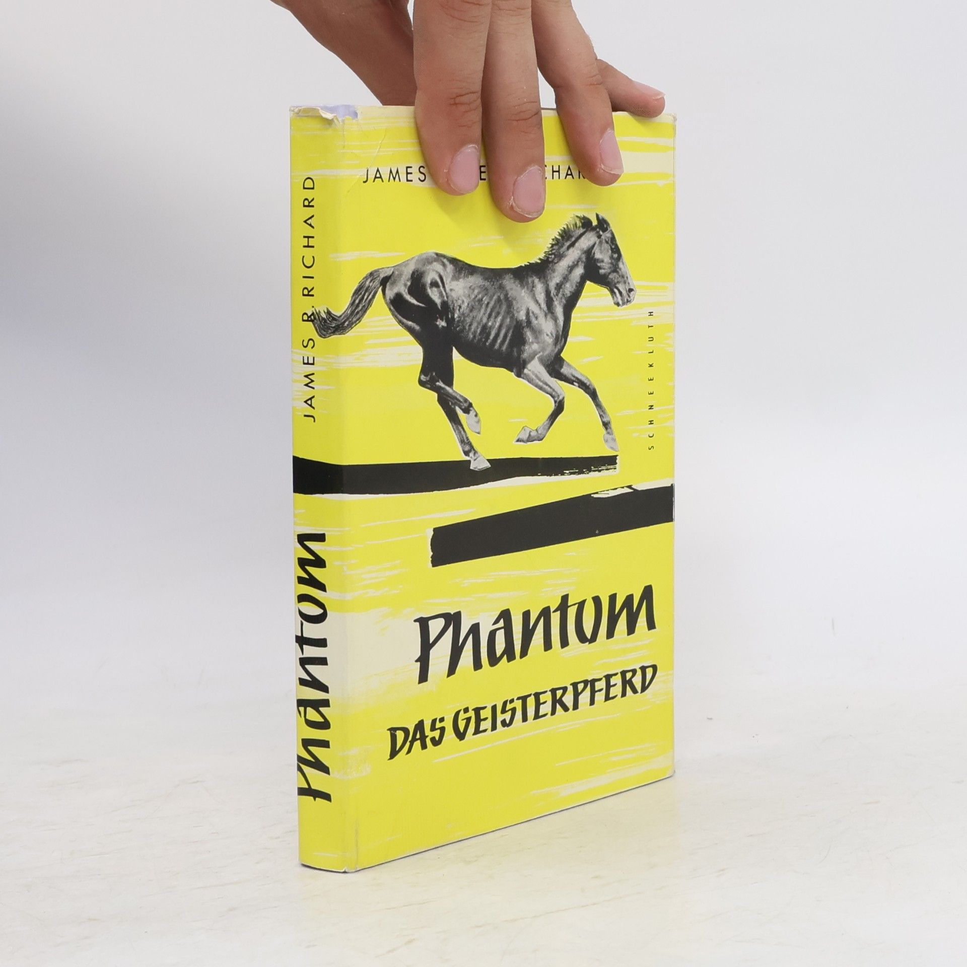 James R. Richard Phantom. Das Geisterpferd
