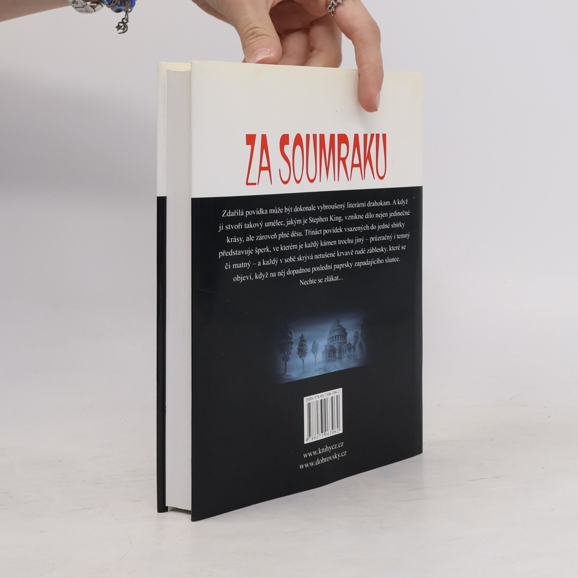 Stephen King Za soumraku