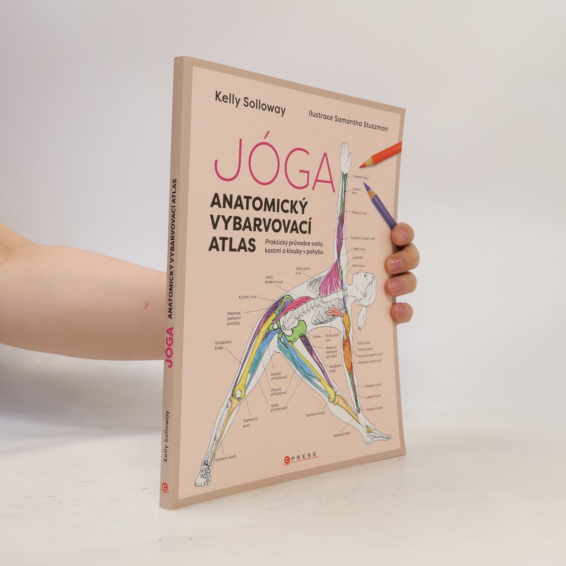 Kateřina Trenzová Jóga. Anatomický vybarvovací atlas. Praktický průvodce svaly, kostmi a klouby v pohybu