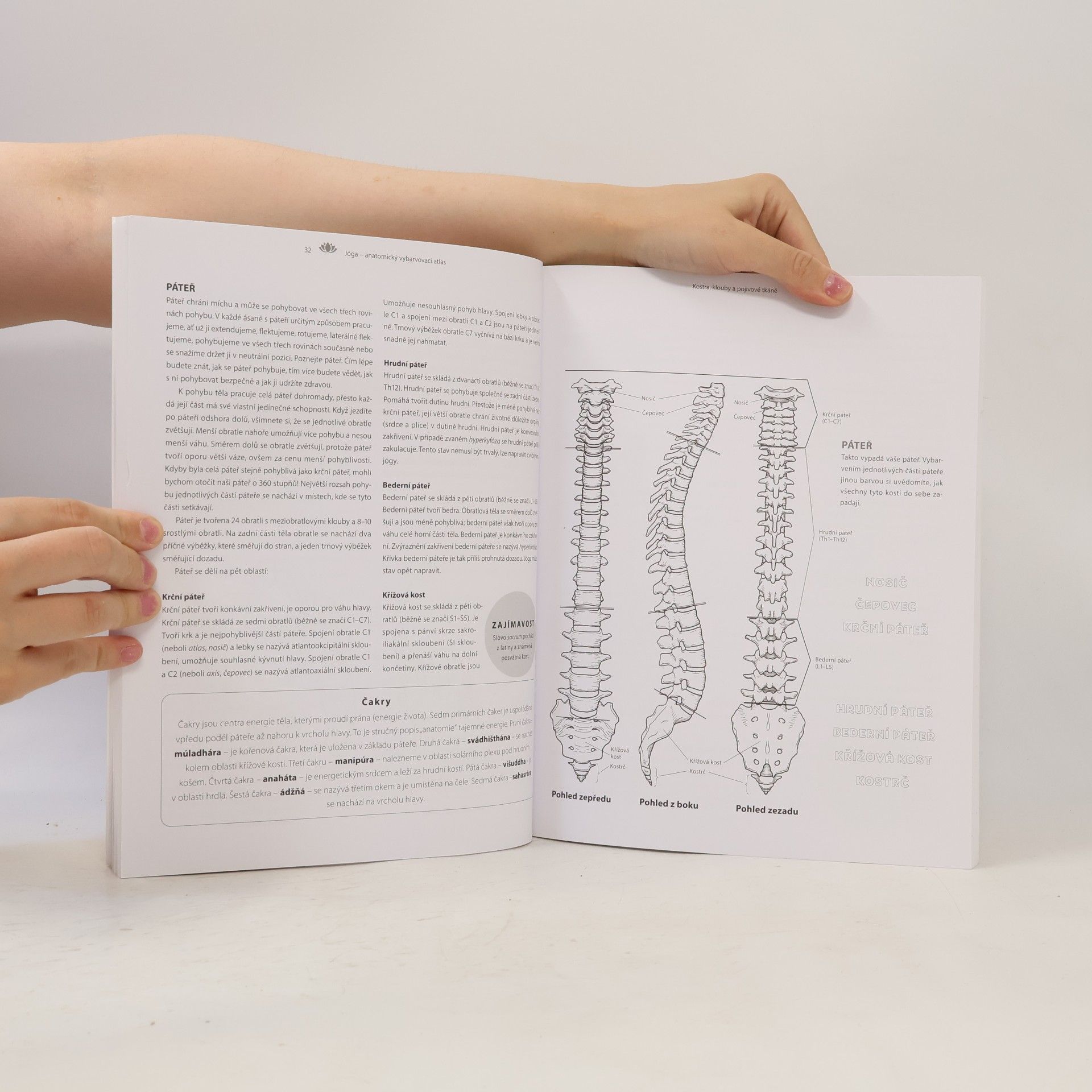 Kelly Solloway Jóga. Anatomický vybarvovací atlas. Praktický průvodce svaly, kostmi a klouby v pohybu