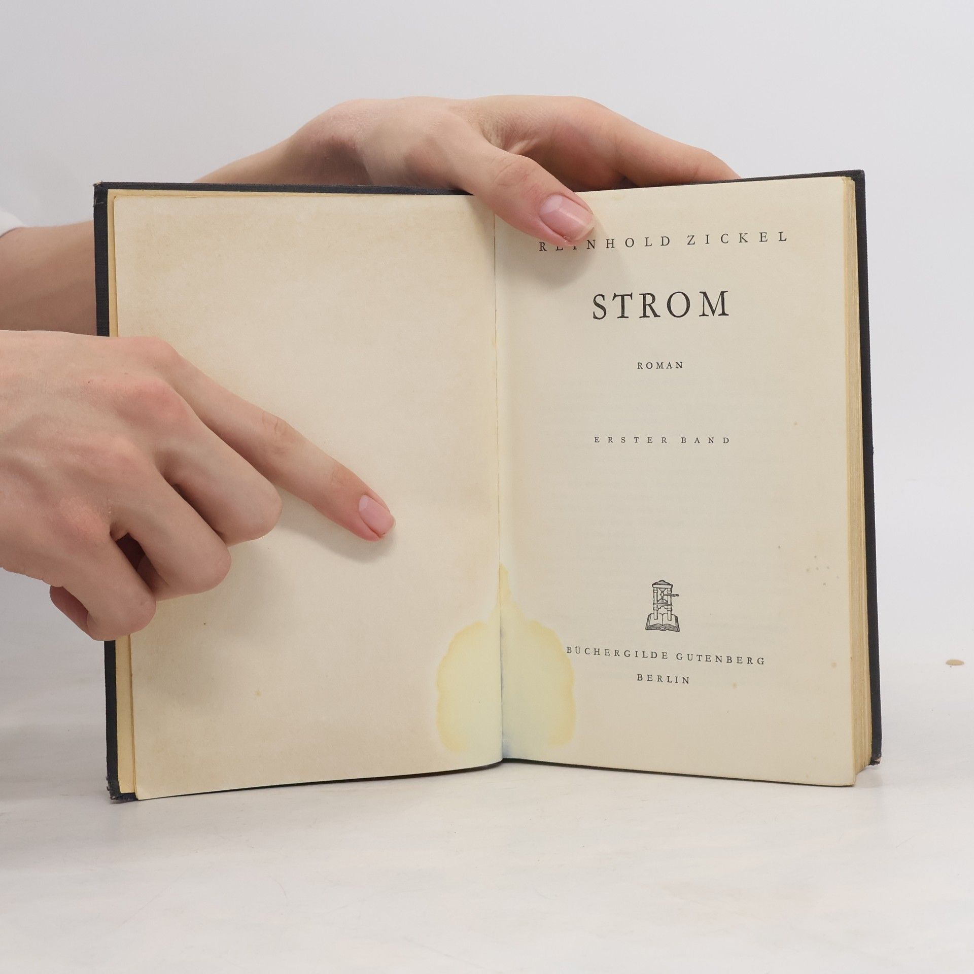 Reinhold Zickel Strom