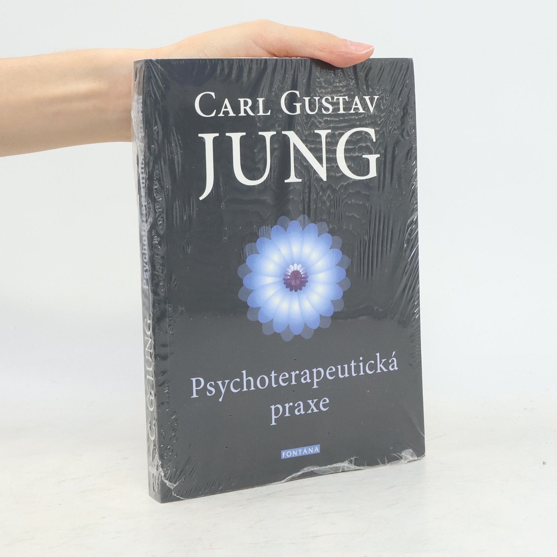Carl Gustav Jung Psychoterapeutická praxe : příspěvky k problému psychoterapie a psychologie přenosu