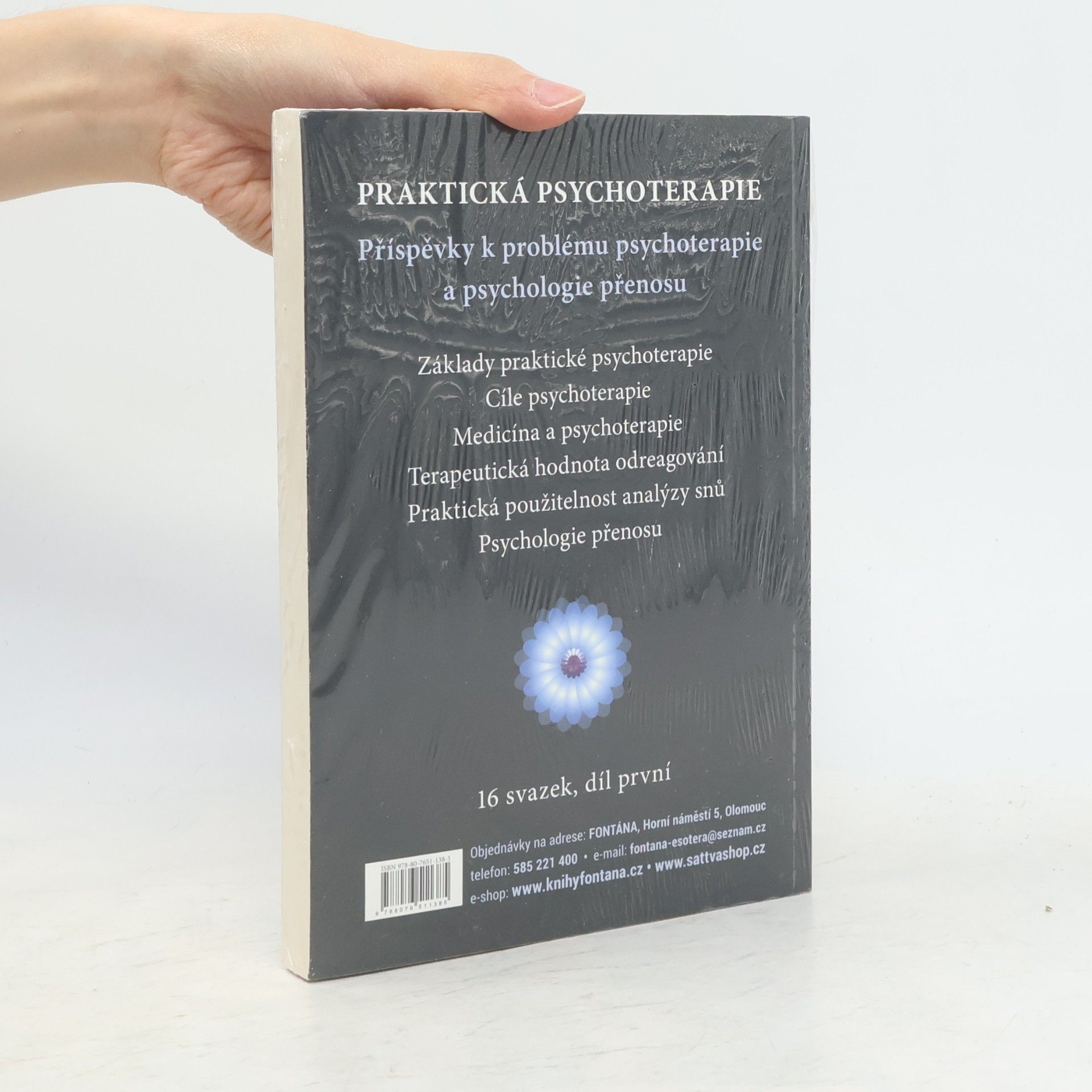 Carl Gustav Jung Psychoterapeutická praxe : příspěvky k problému psychoterapie a psychologie přenosu